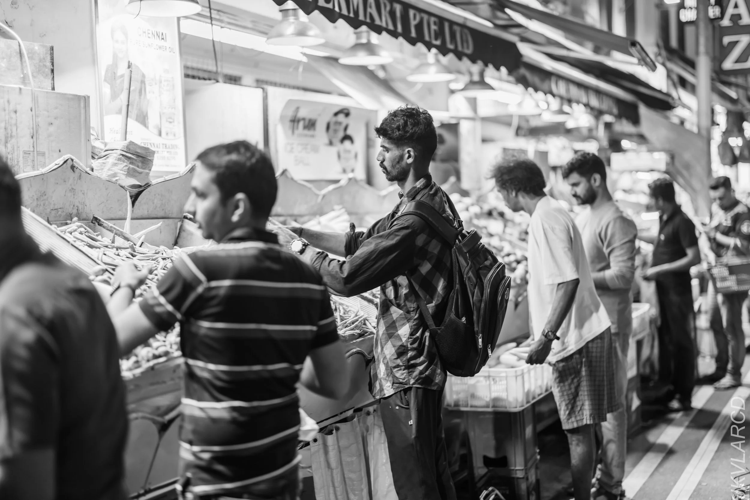 EOS R5_2024_03_23_3043.jpg