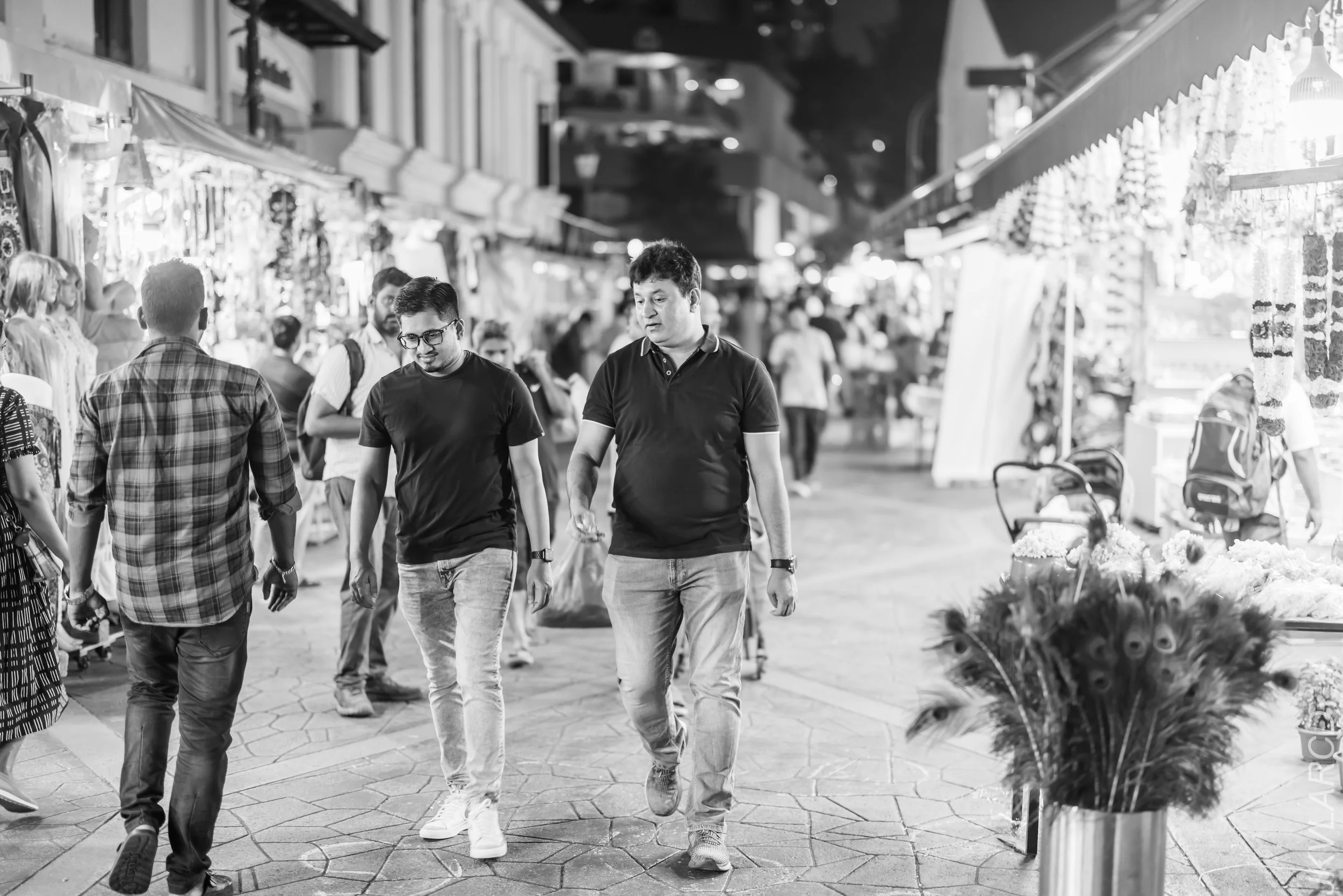 EOS R5_2024_03_23_3050.jpg