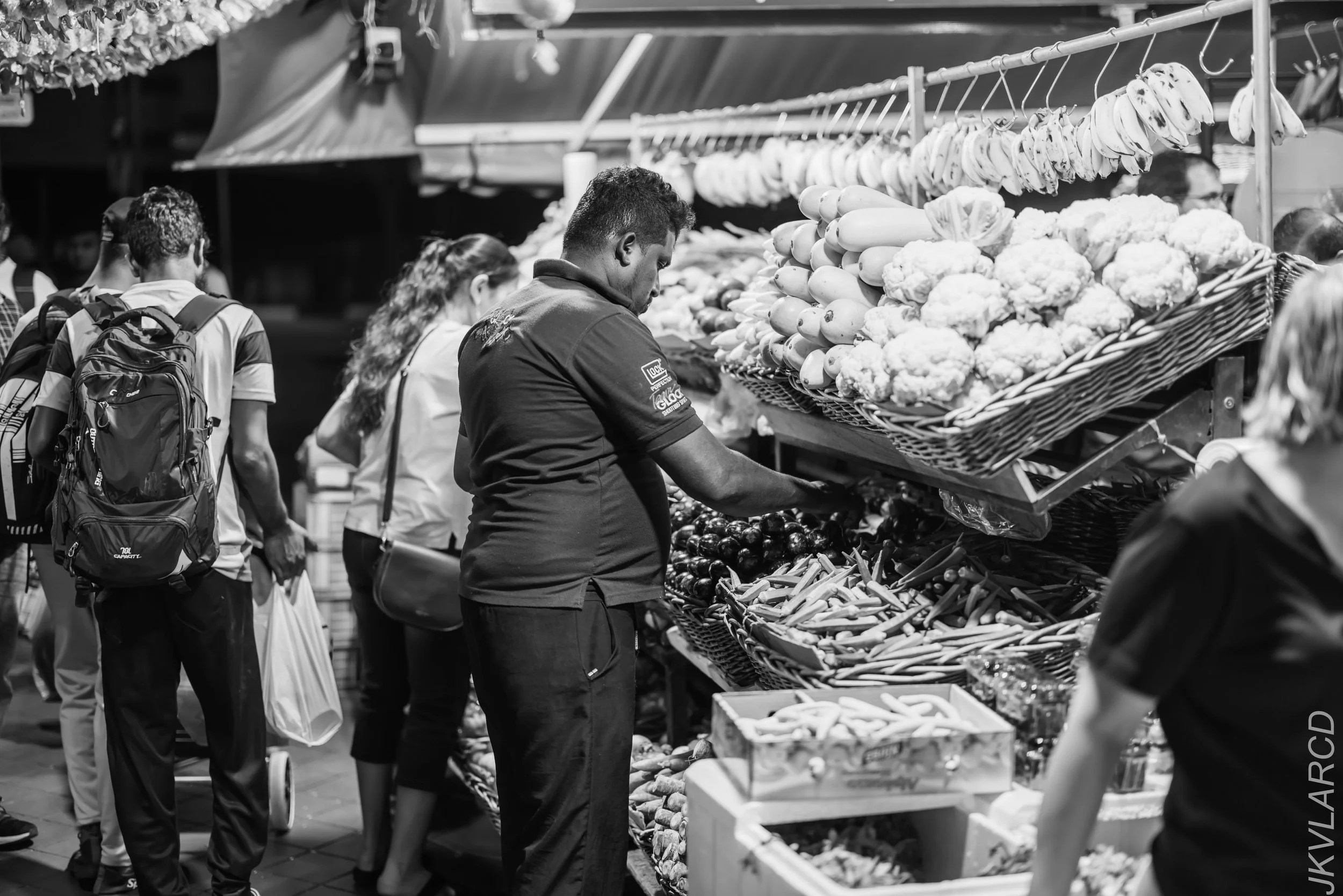 EOS R5_2024_03_23_3076.jpg