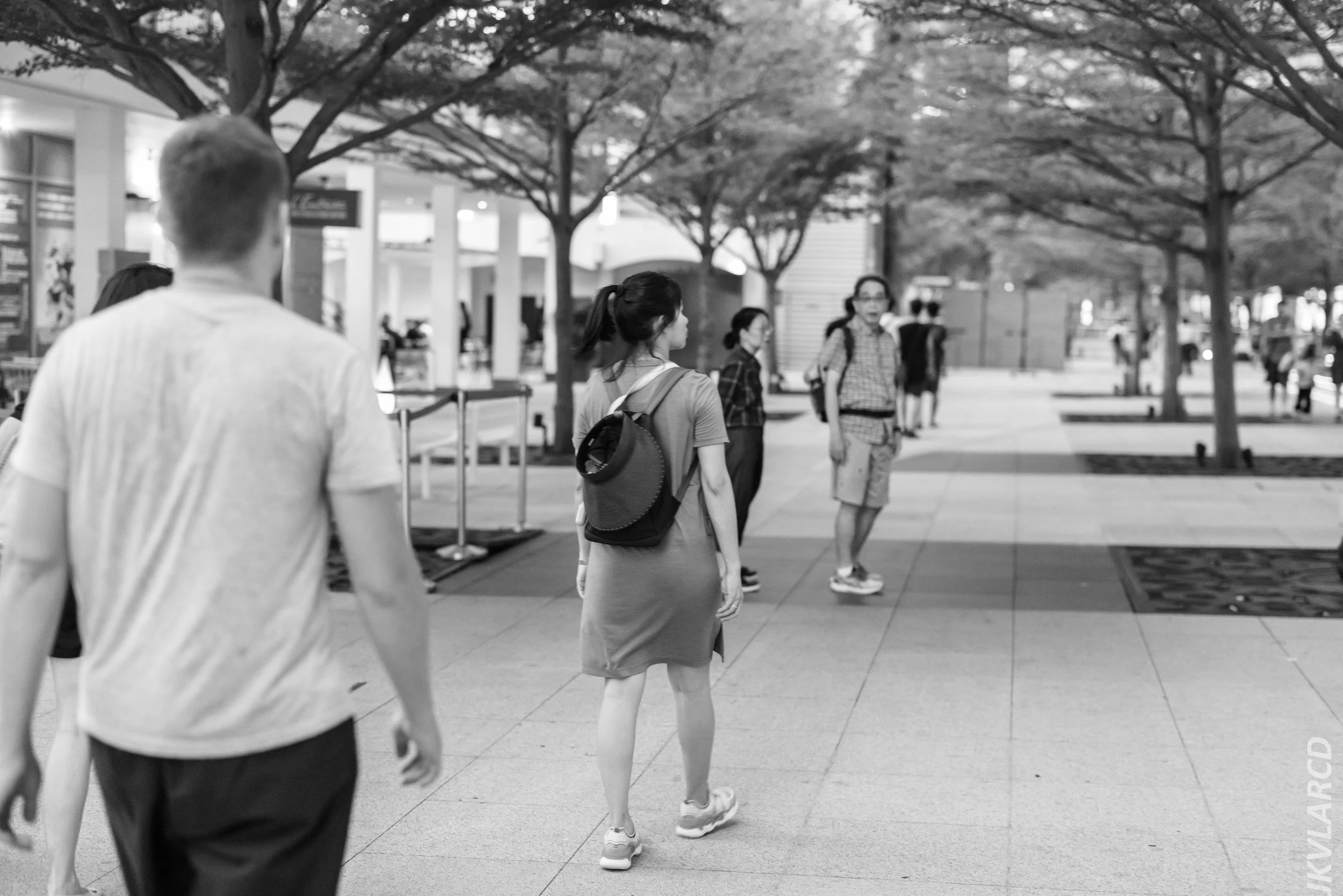 EOS R5_2024_04_06_0010.jpg