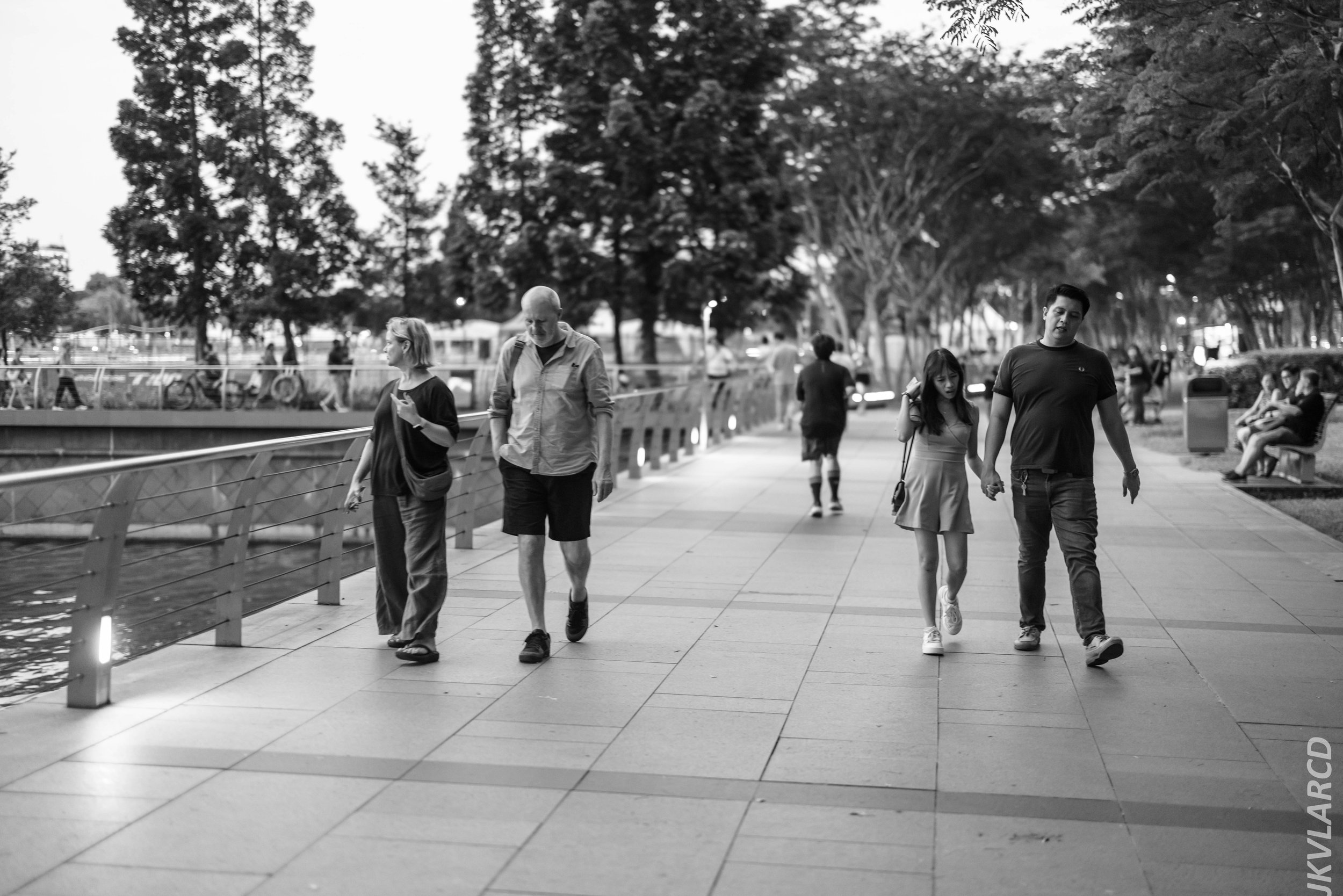 EOS R5_2024_04_06_0016.jpg
