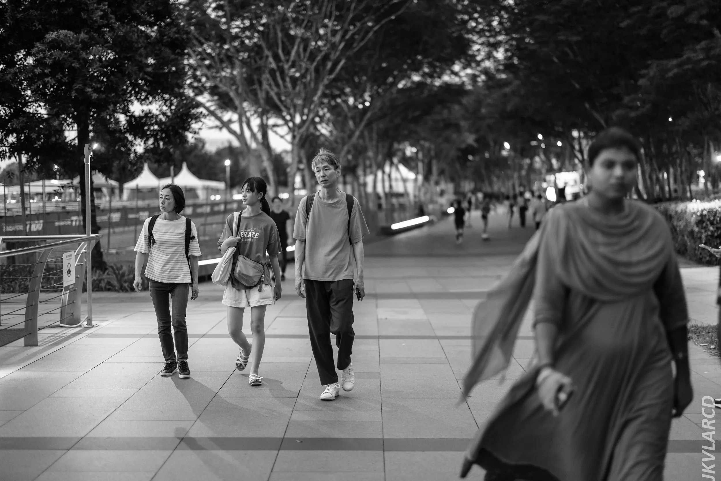 EOS R5_2024_04_06_0018.jpg