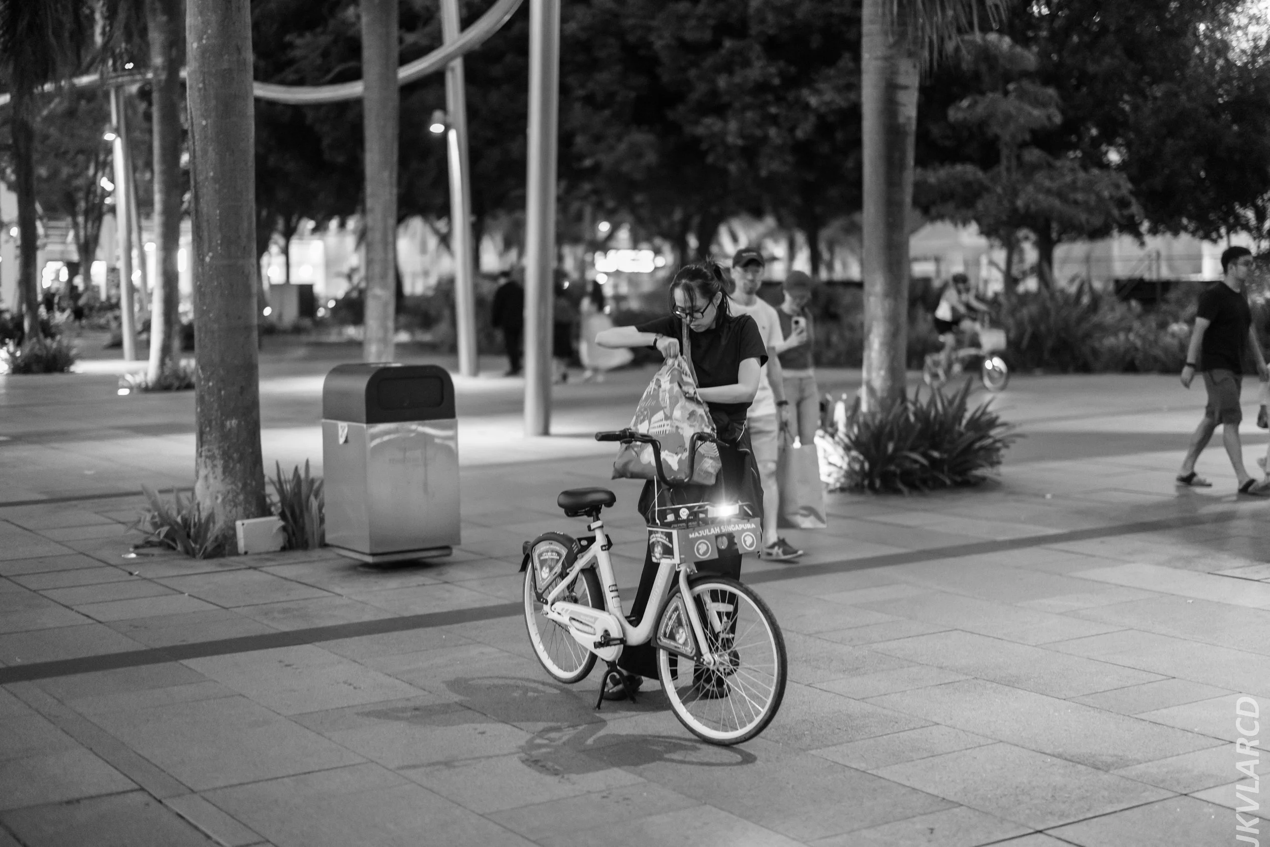 EOS R5_2024_04_06_0043.jpg