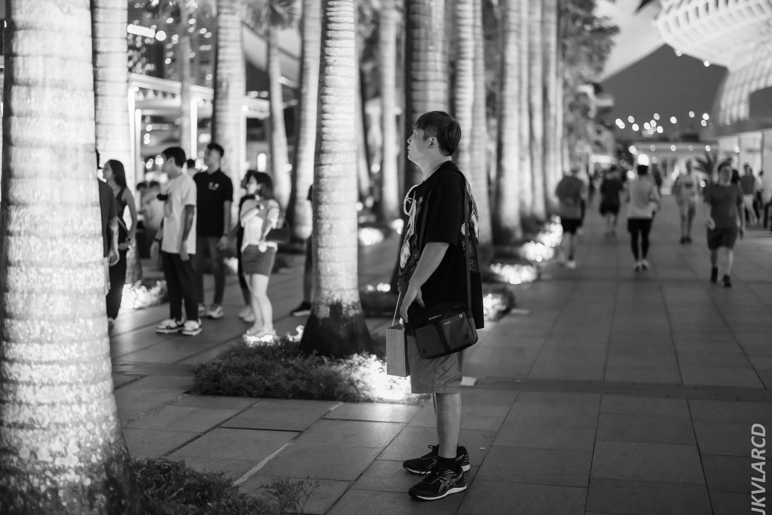 EOS R5_2024_04_06_0068.jpg