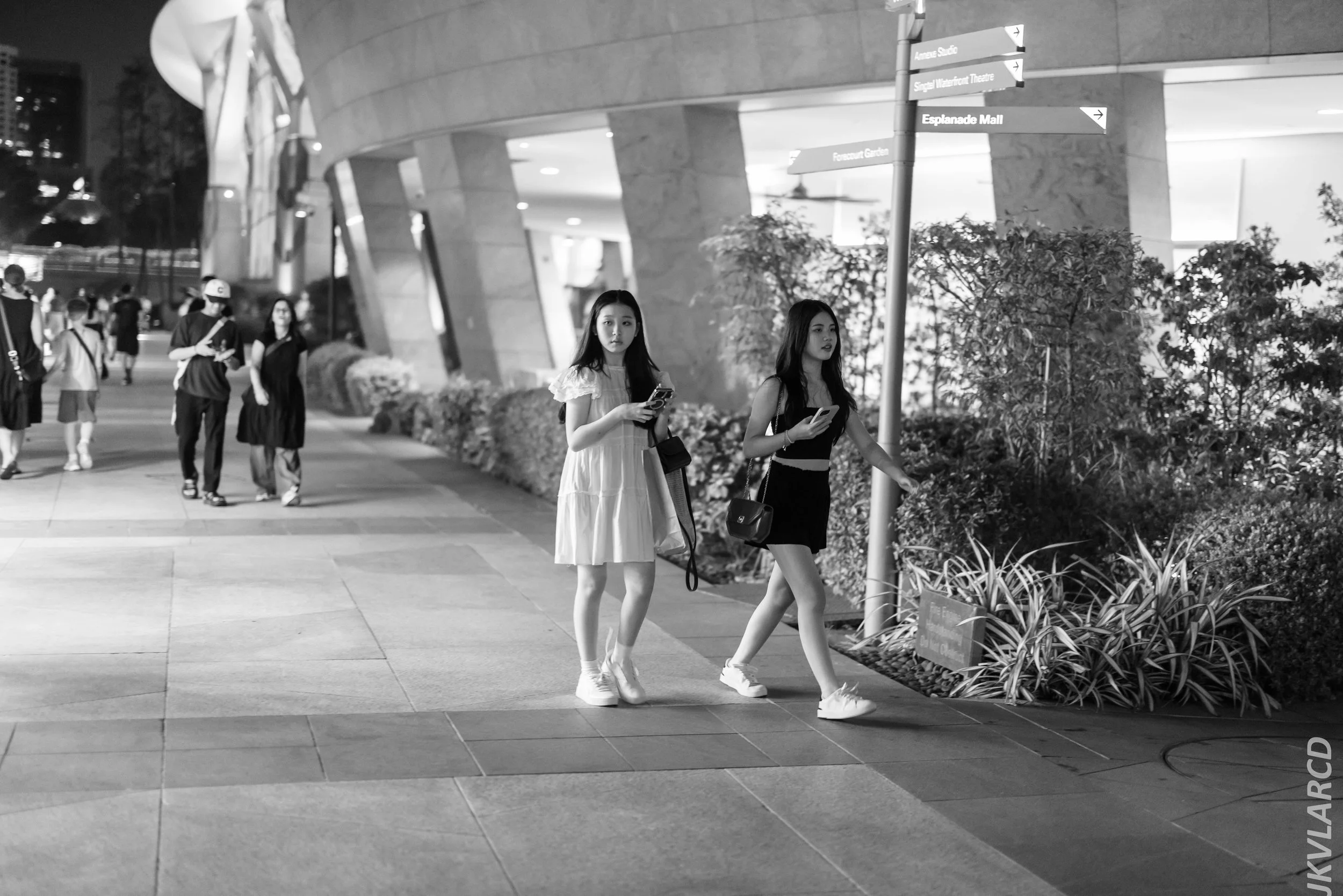 EOS R5_2024_04_06_0114.jpg