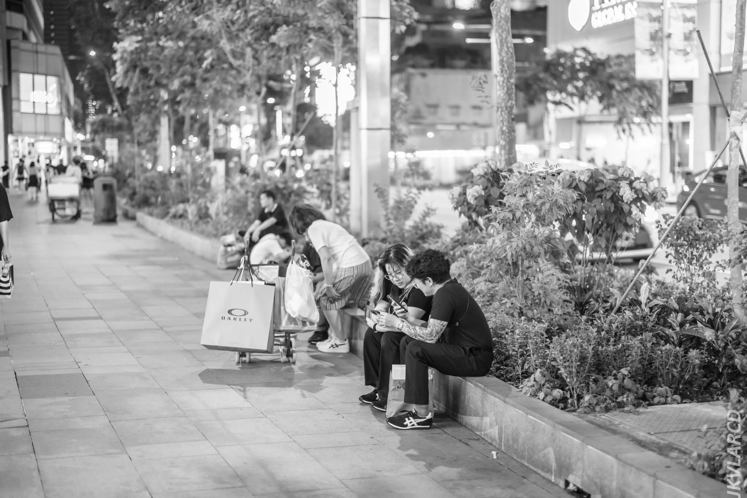 EOS R5_2024_04_13_0058.jpg