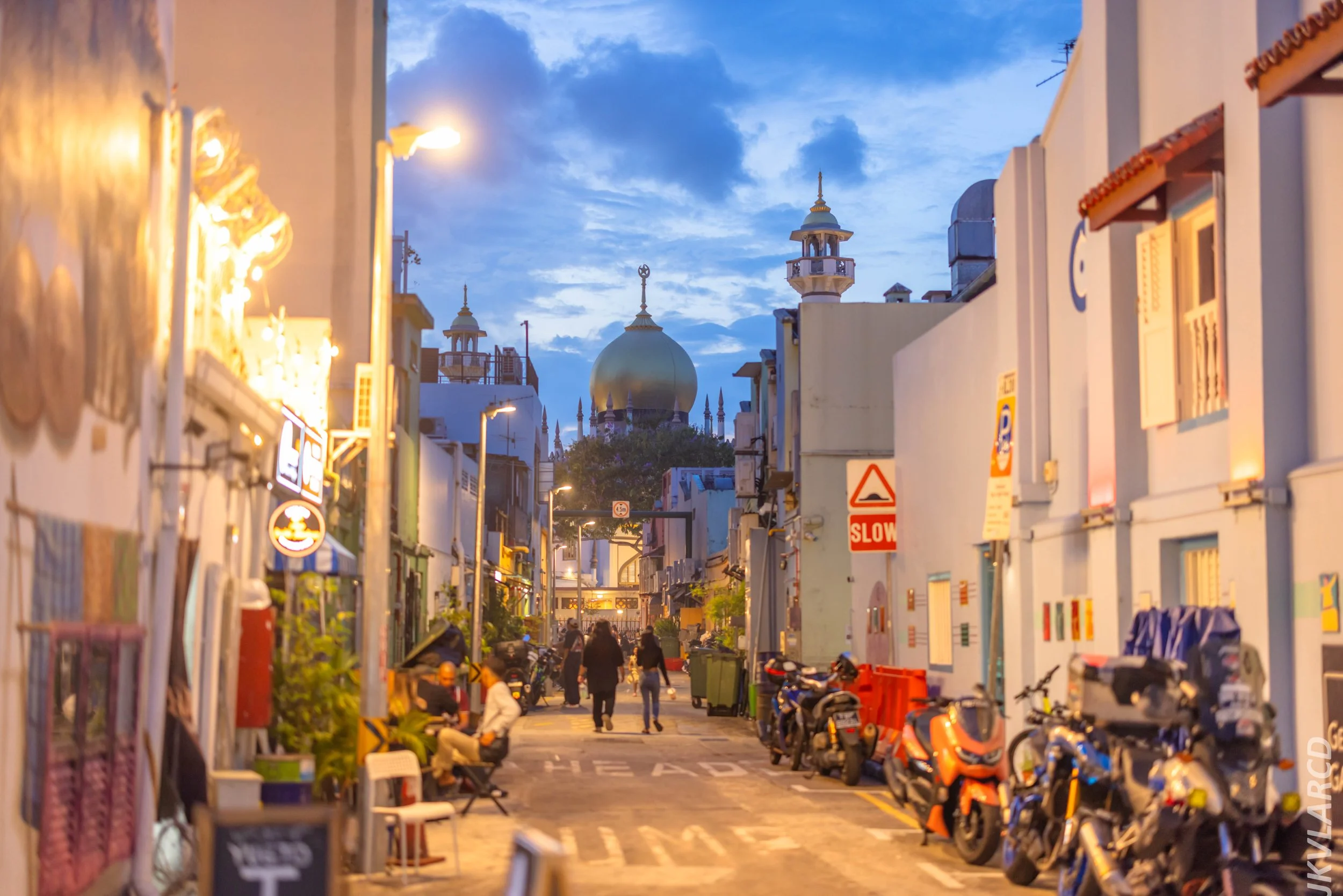 EOS R5_2024_05_11_0053.jpg