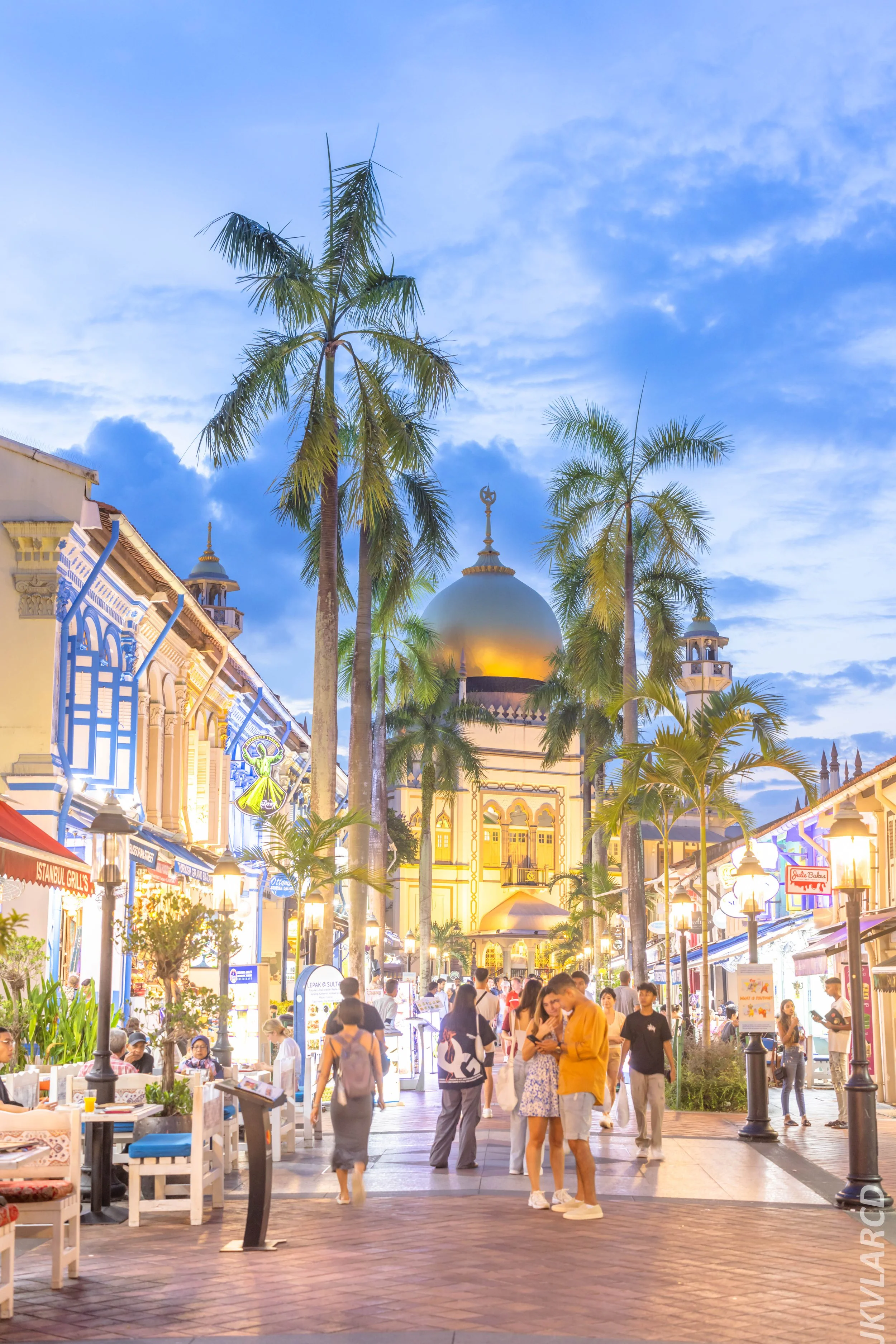 EOS R5_2024_05_11_0060.jpg