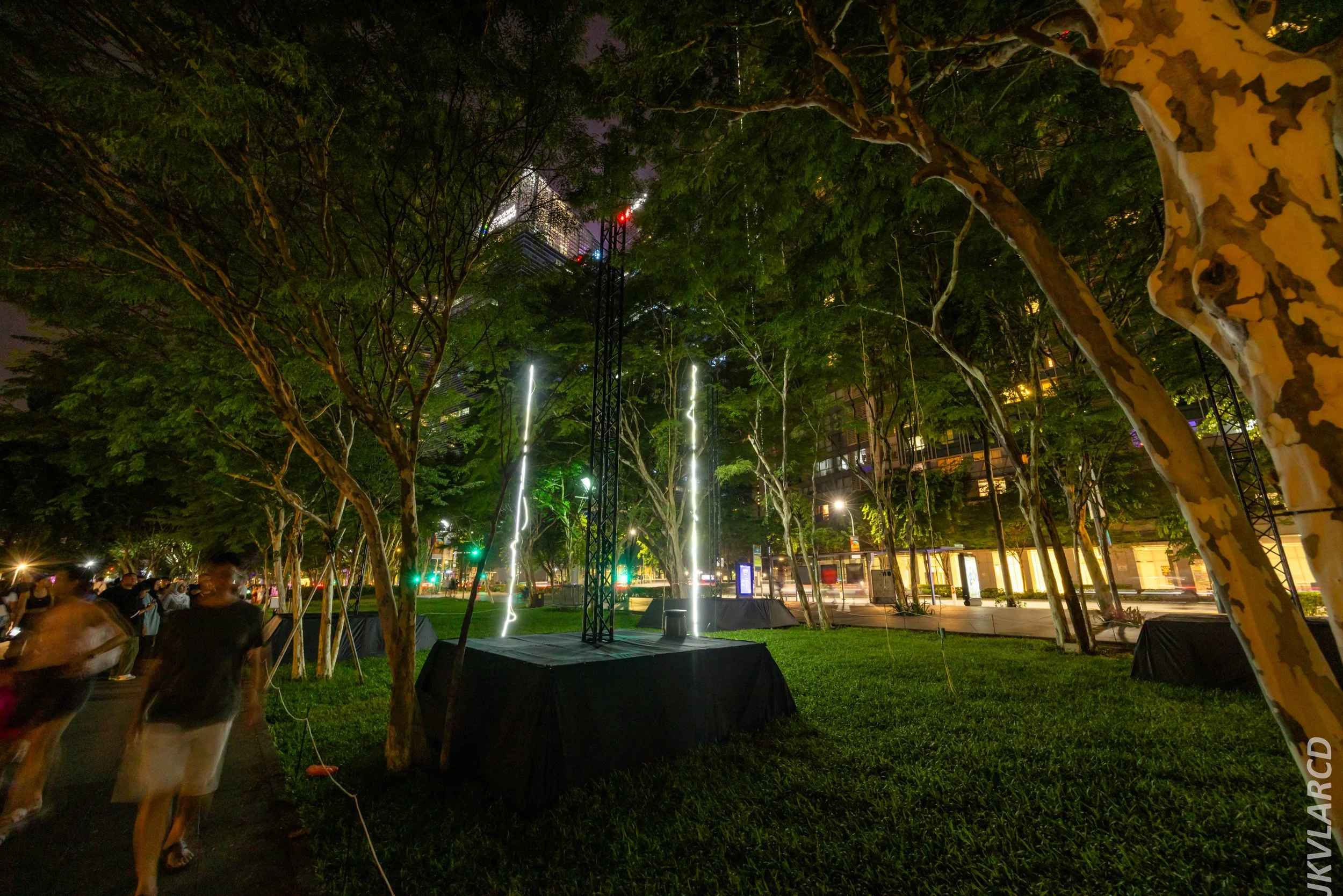 EOS R5_2024_06_08_0098.jpg