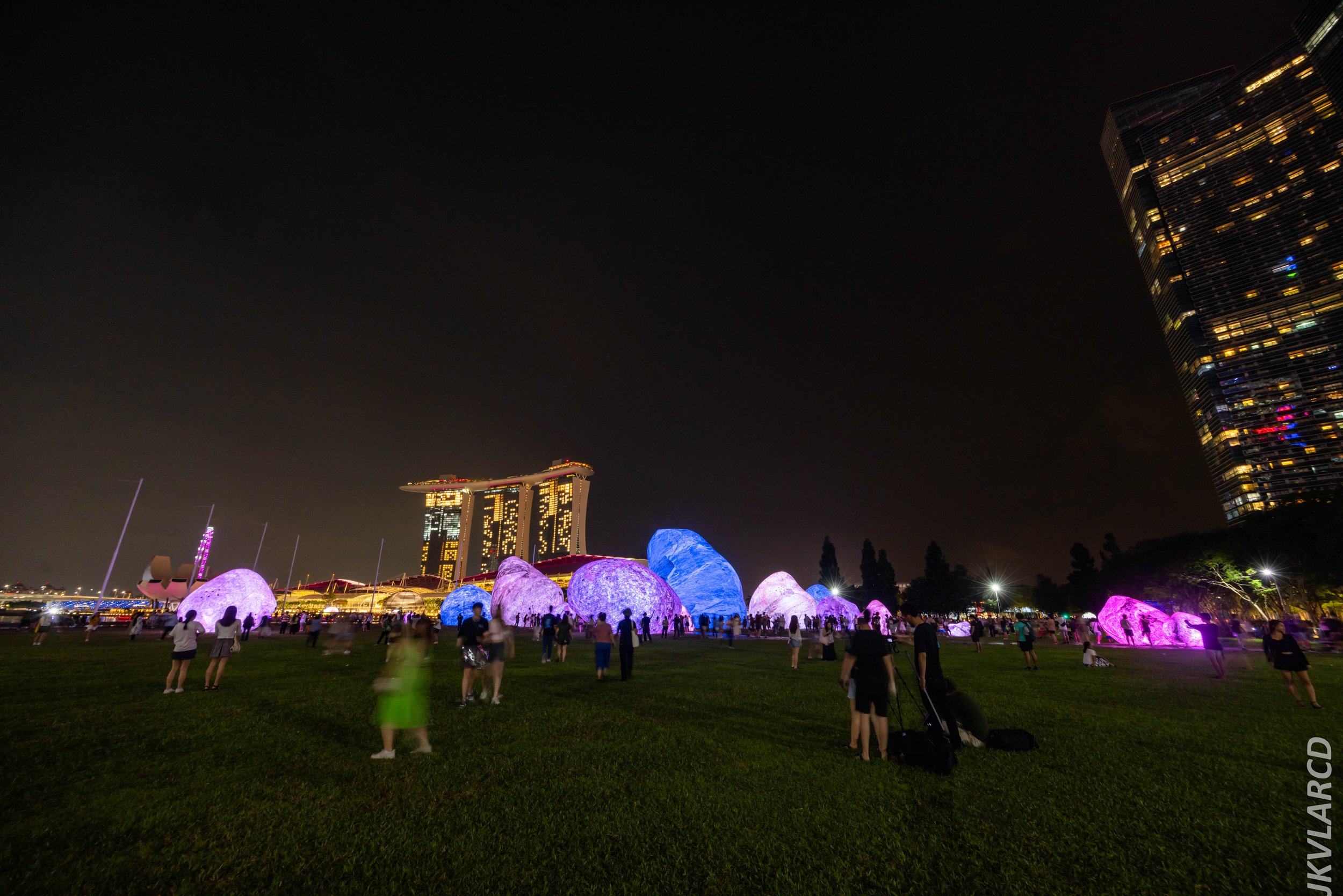 EOS R5_2024_06_08_0111.jpg