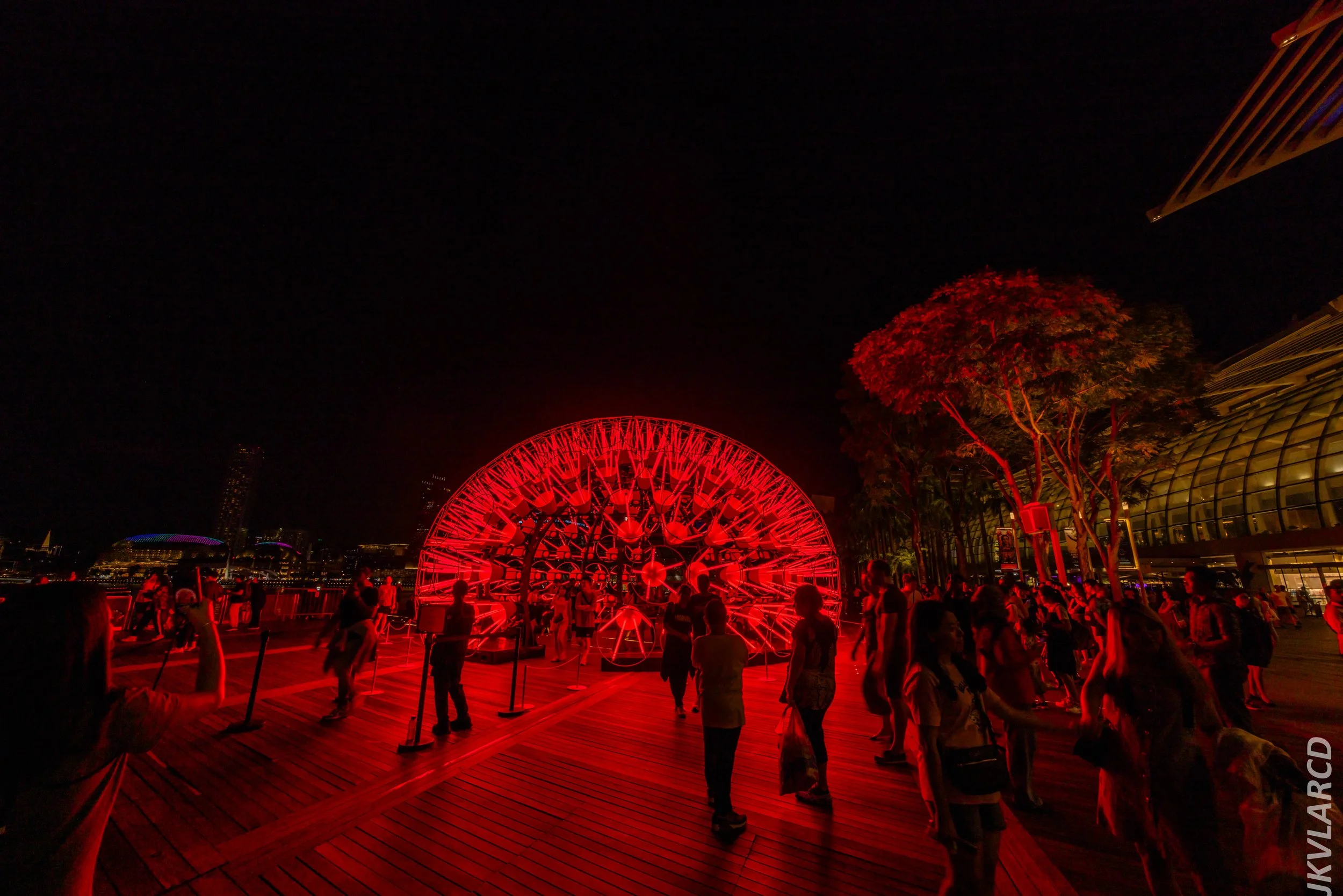 EOS R5_2024_06_08_0162.jpg