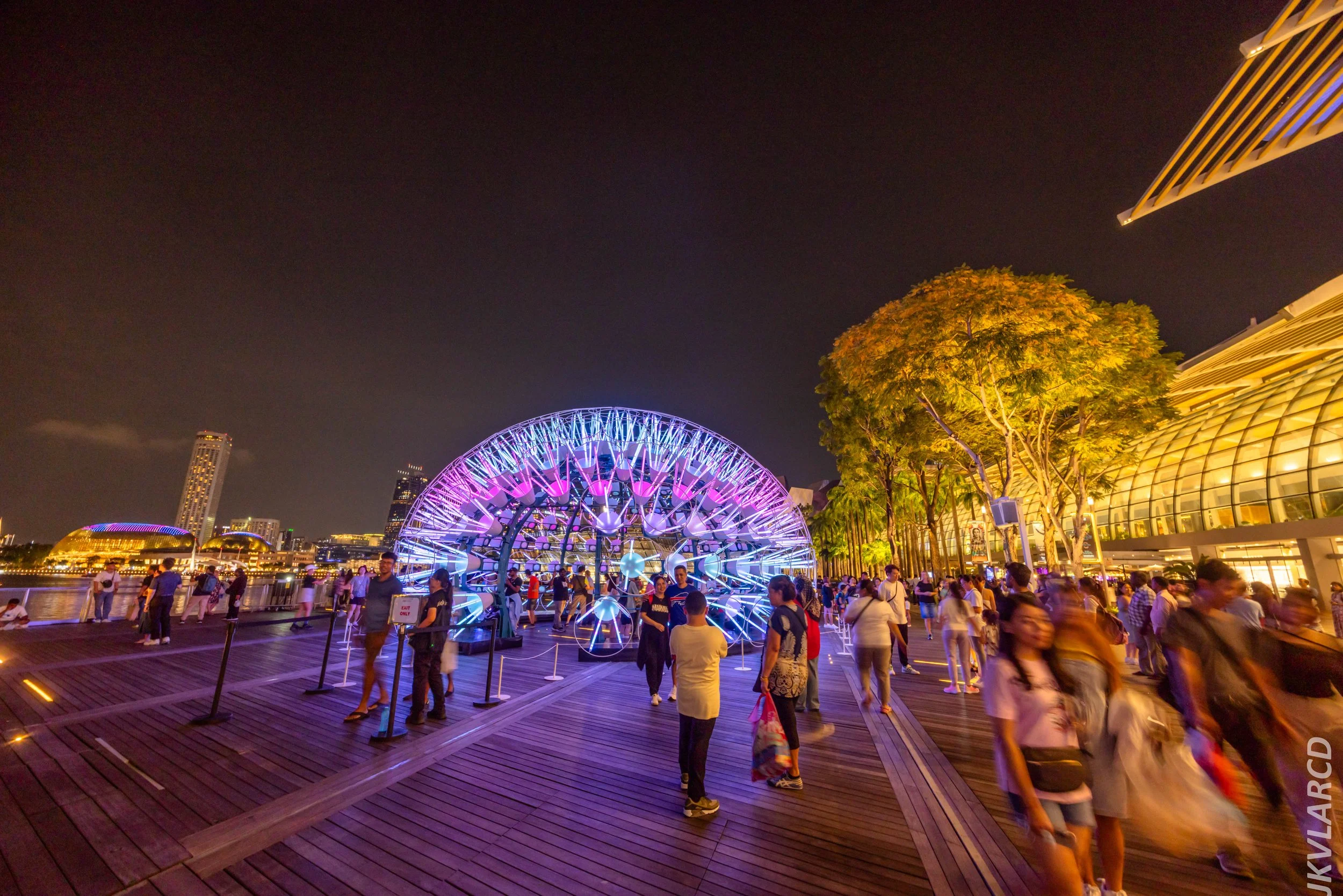 EOS R5_2024_06_08_0159.jpg