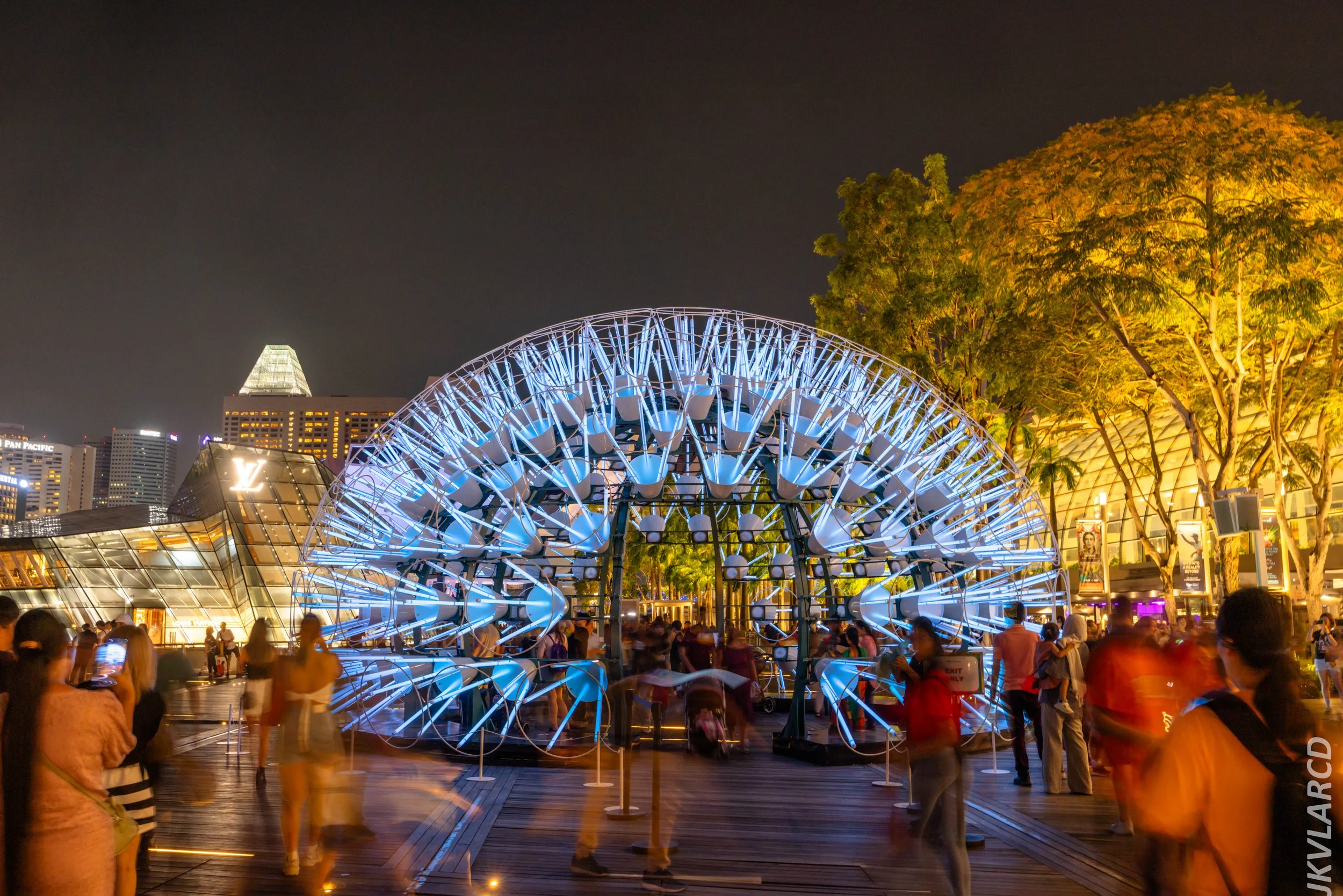 EOS R5_2024_06_08_0173.jpg