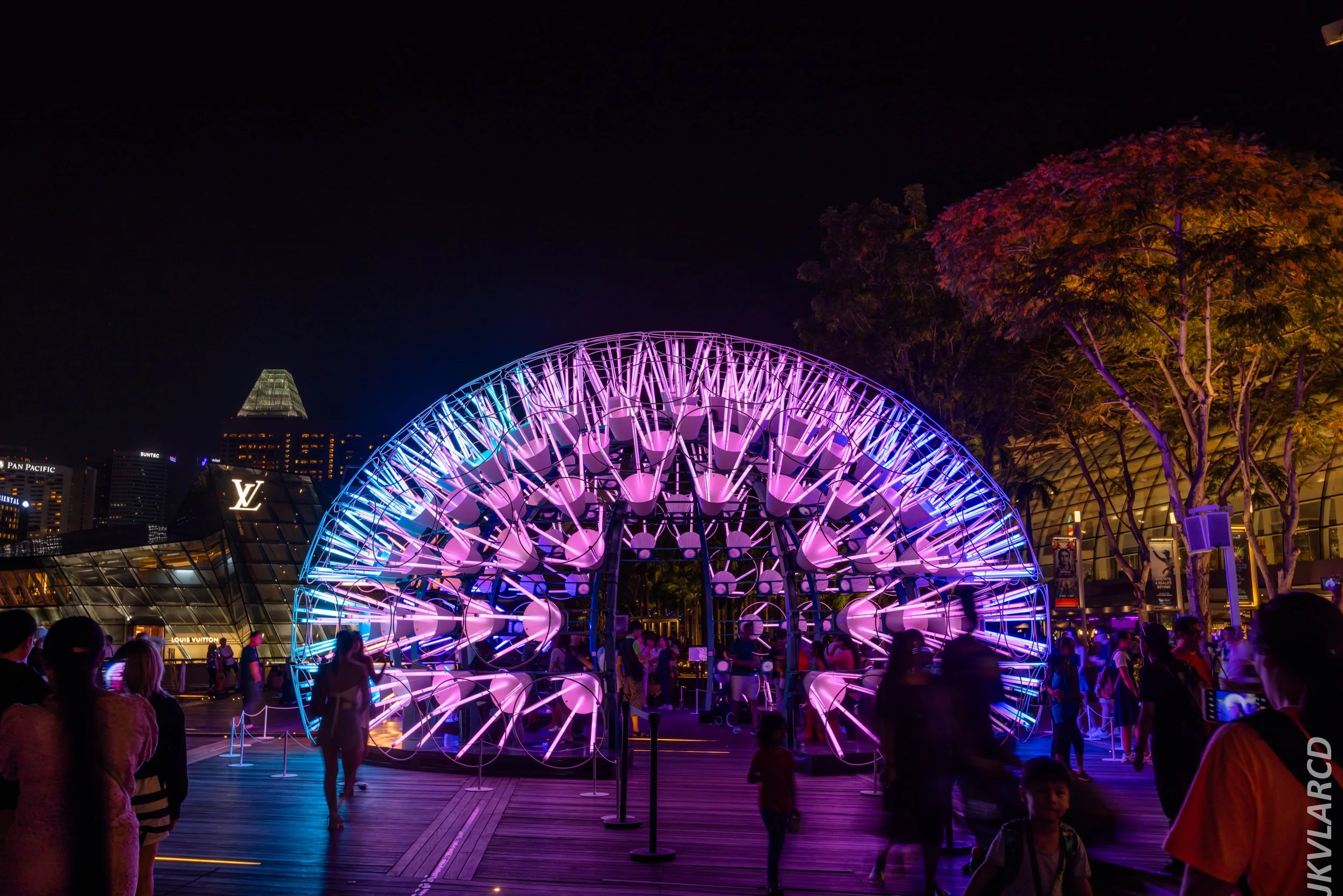 EOS R5_2024_06_08_0176.jpg