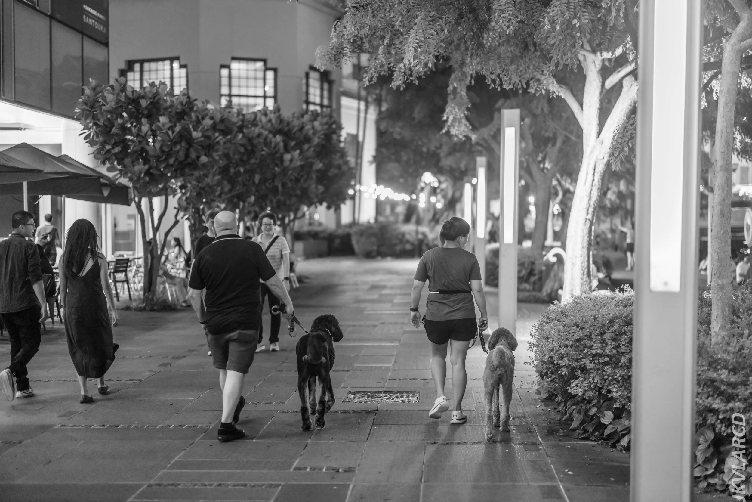 EOS R5_2024_06_15_0017.jpg