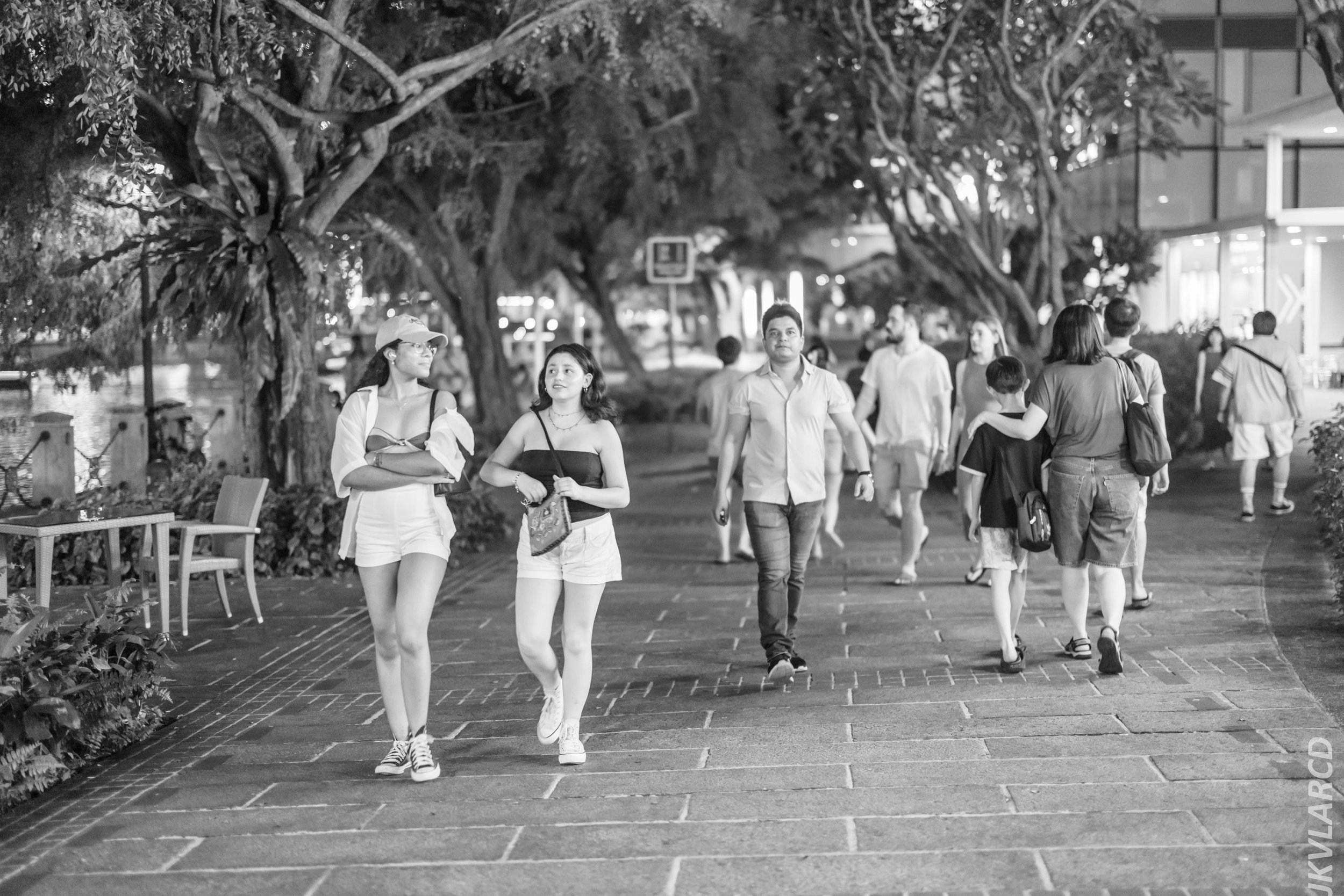 EOS R5_2024_06_15_0097.jpg