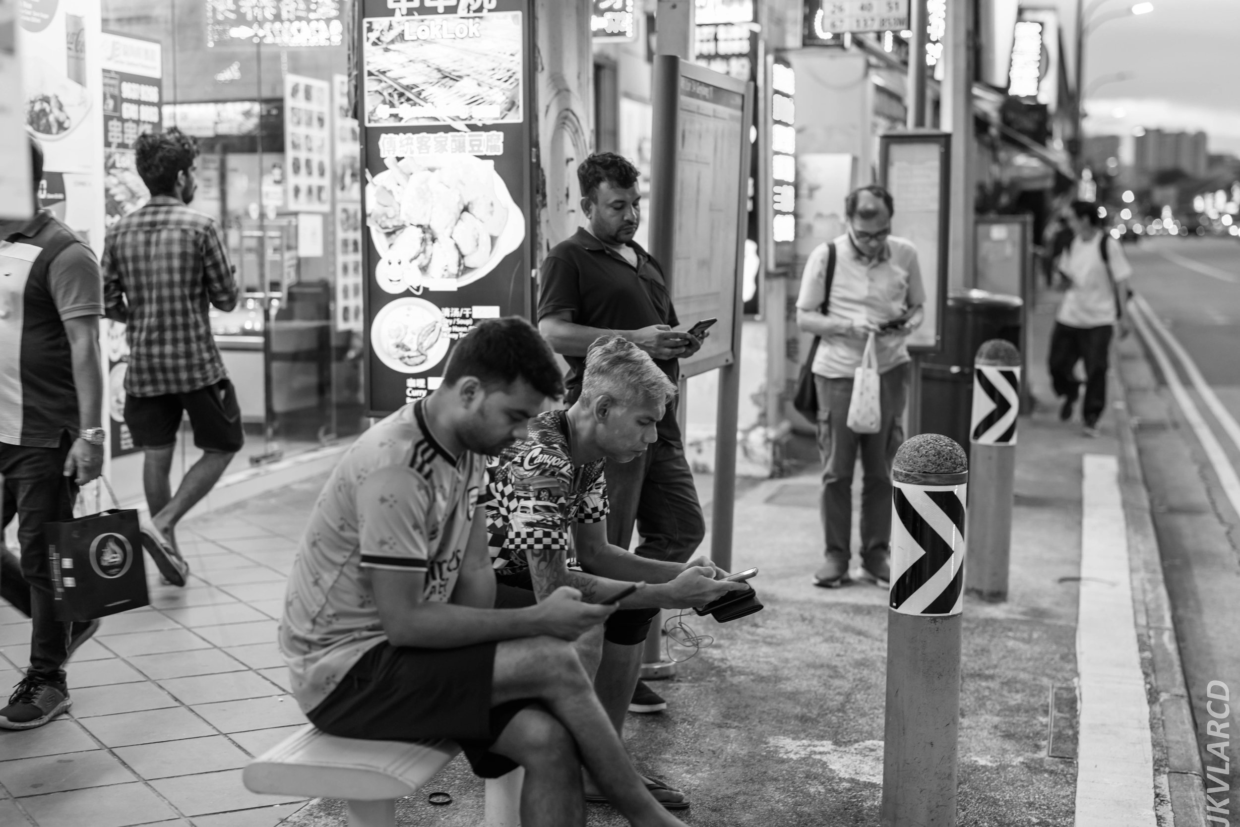 EOS R5_2024_06_29_0025.jpg