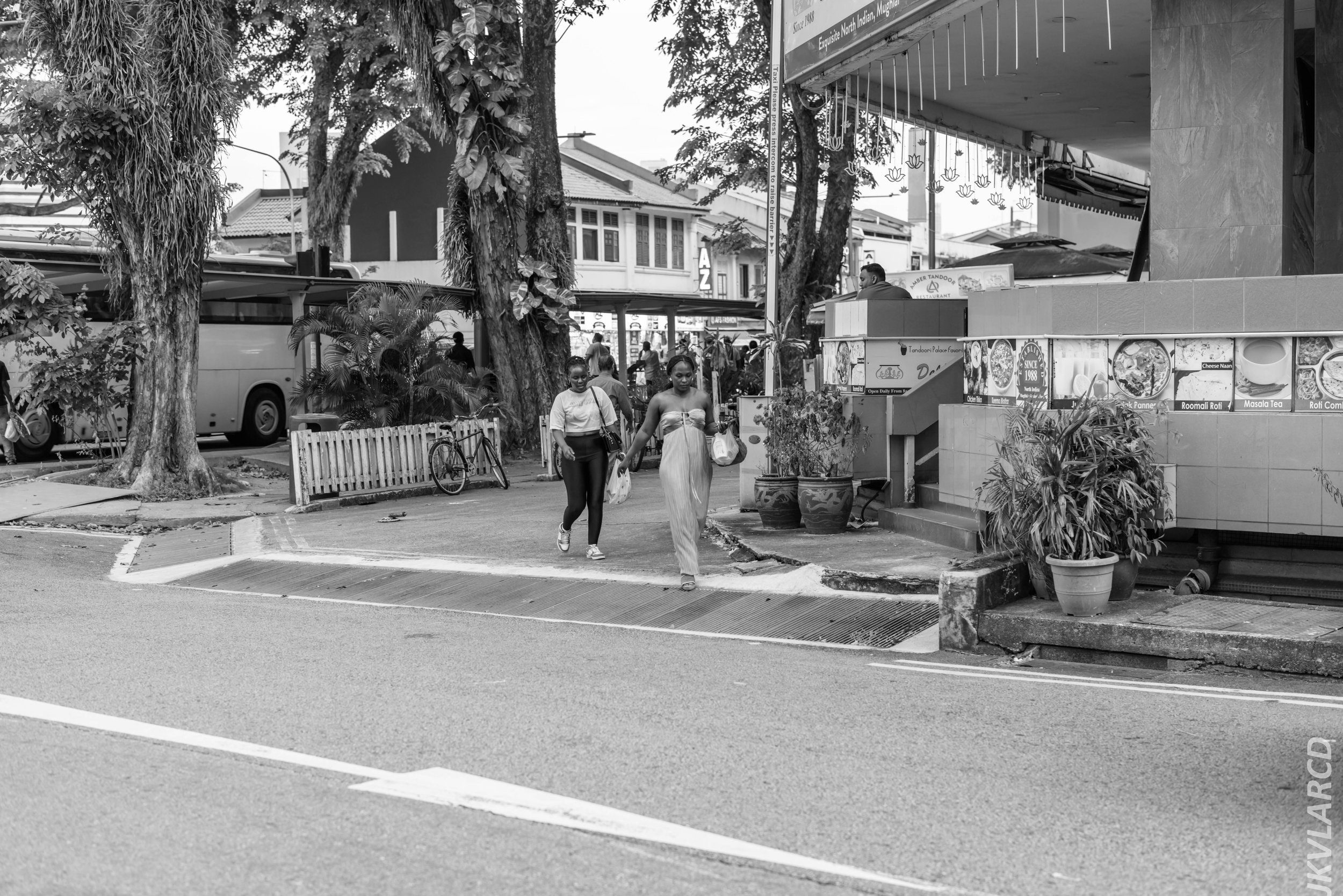 EOS R5_2024_07_20_0003.jpg