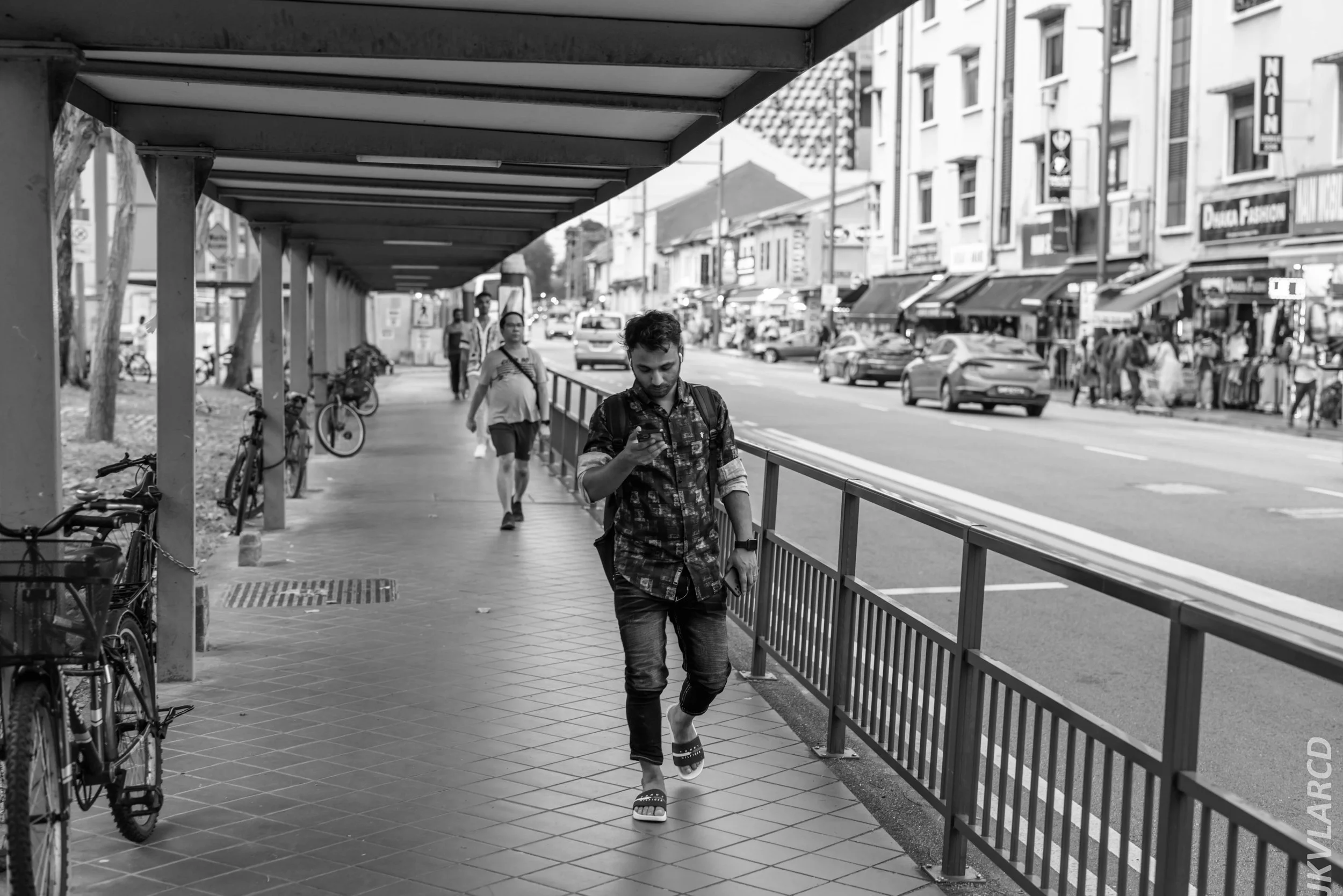 EOS R5_2024_07_20_0005.jpg