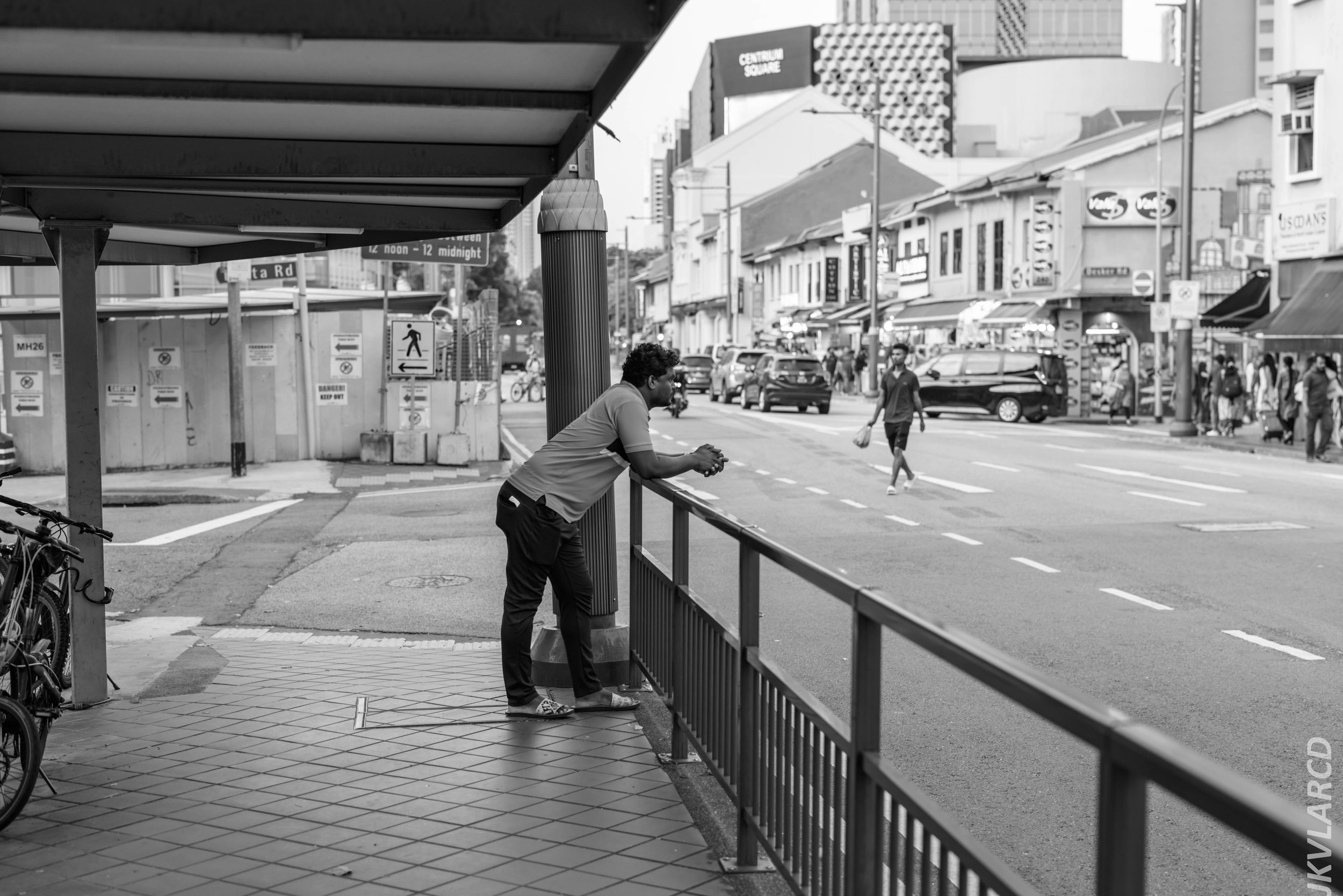 EOS R5_2024_07_20_0007.jpg