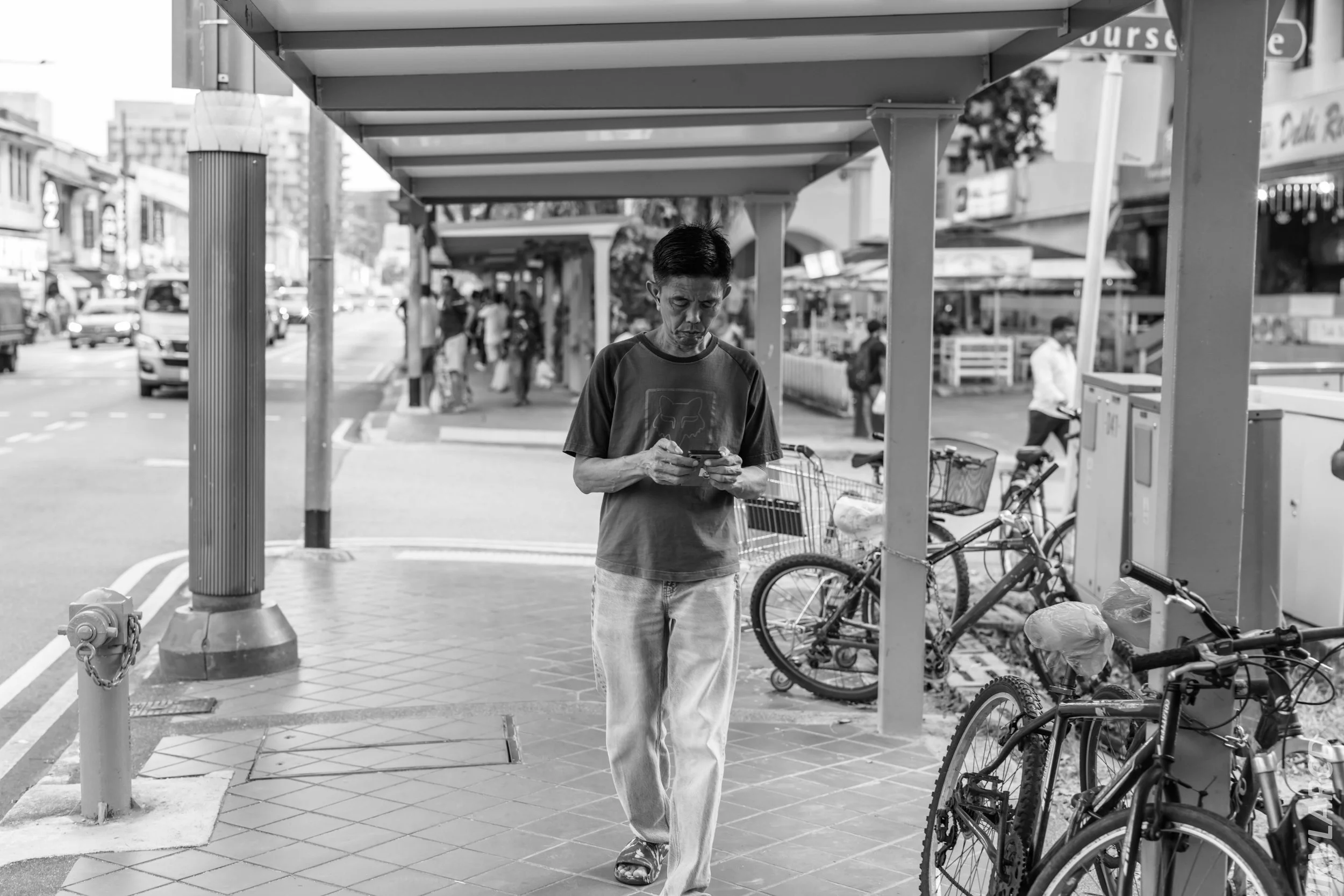 EOS R5_2024_07_20_0008.jpg