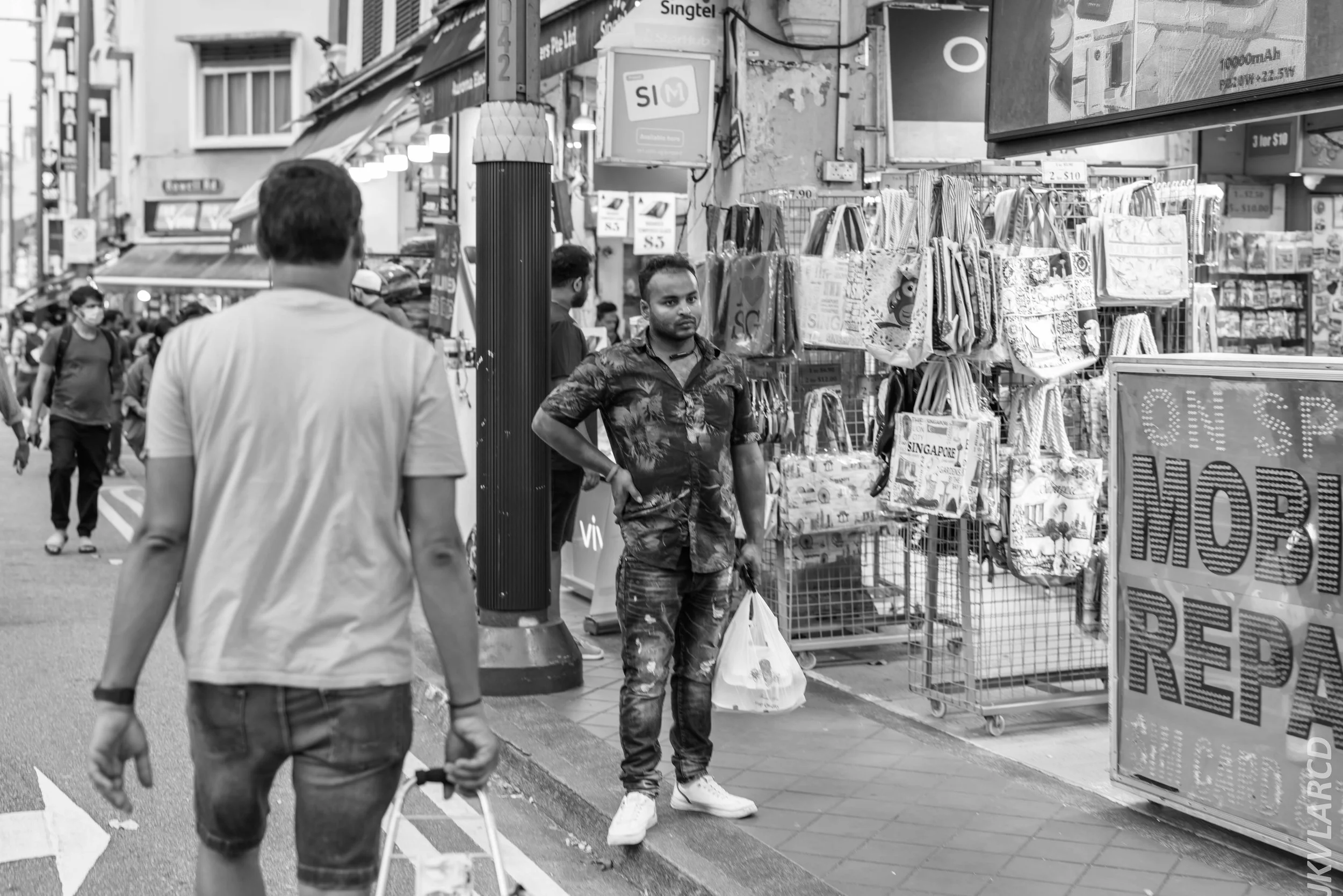 EOS R5_2024_07_20_0009.jpg