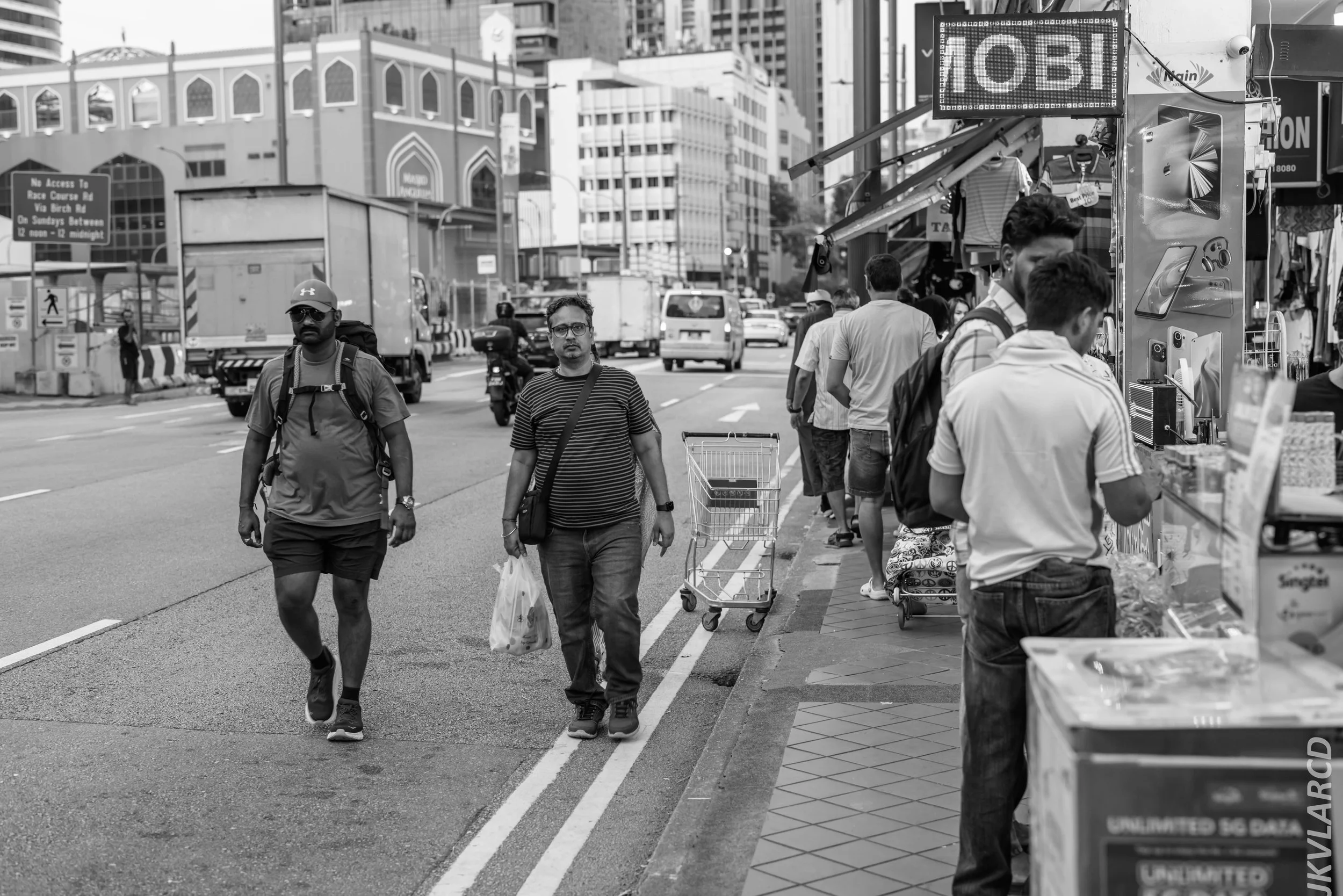 EOS R5_2024_07_20_0015.jpg