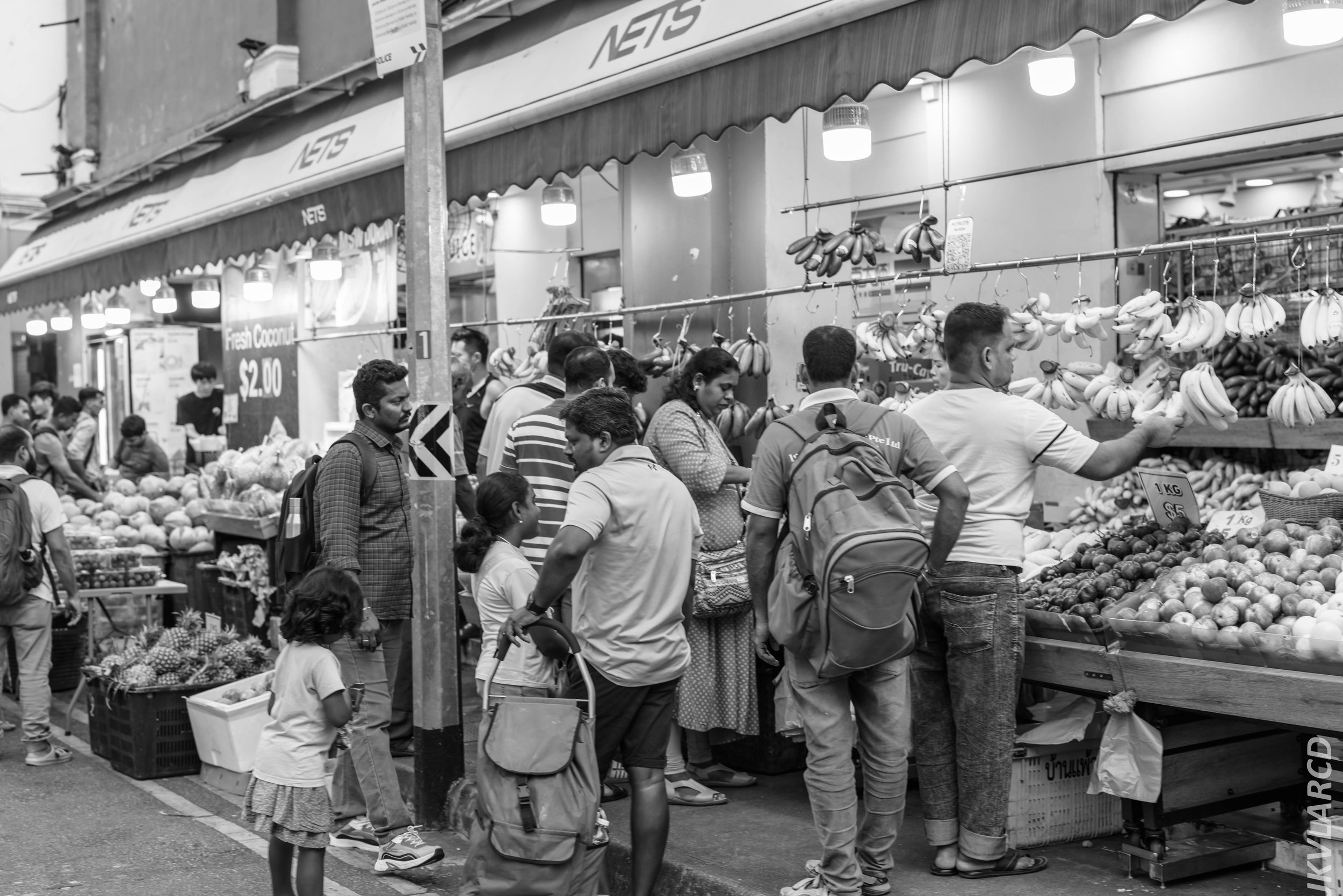 EOS R5_2024_07_20_0027.jpg