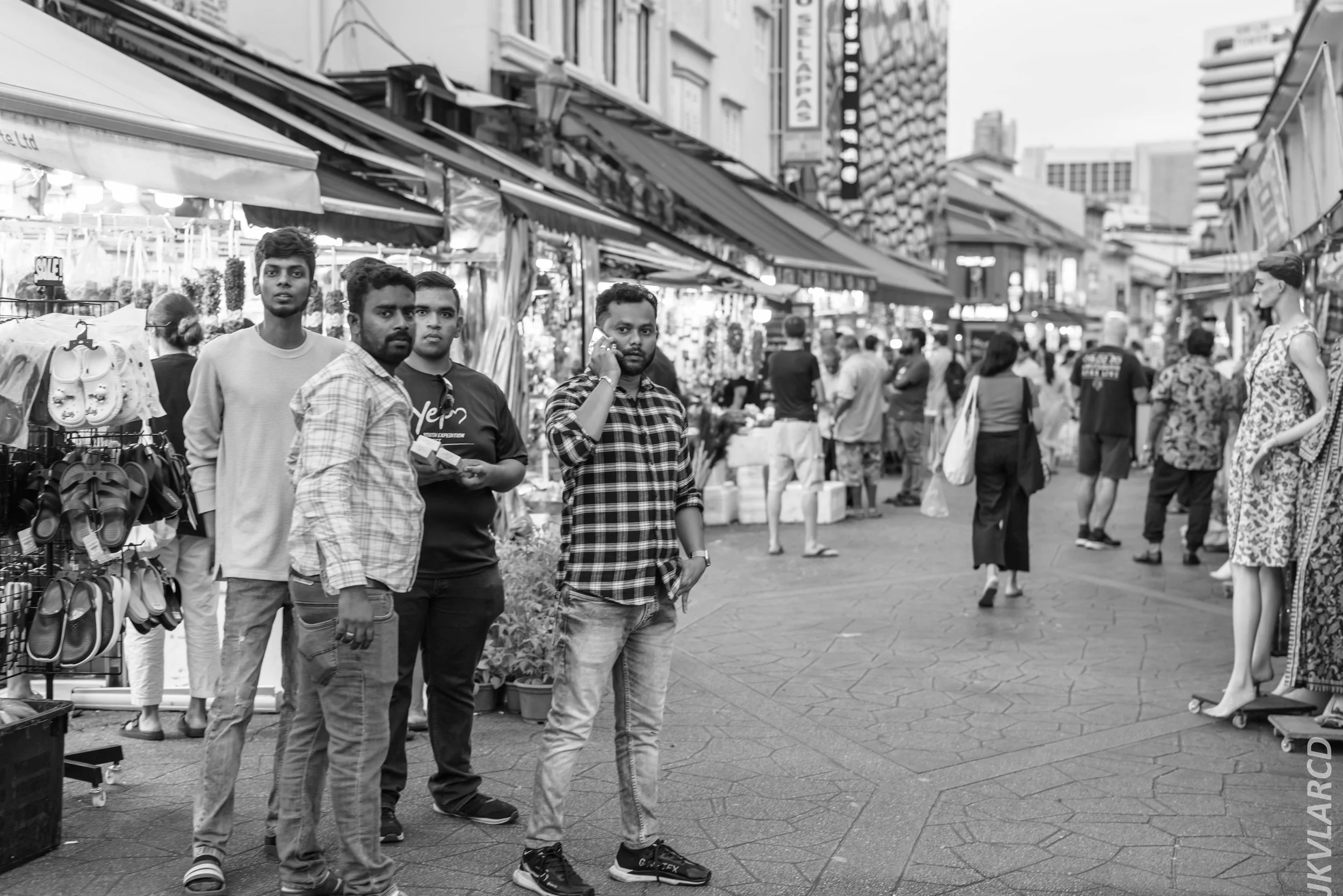 EOS R5_2024_07_20_0052.jpg