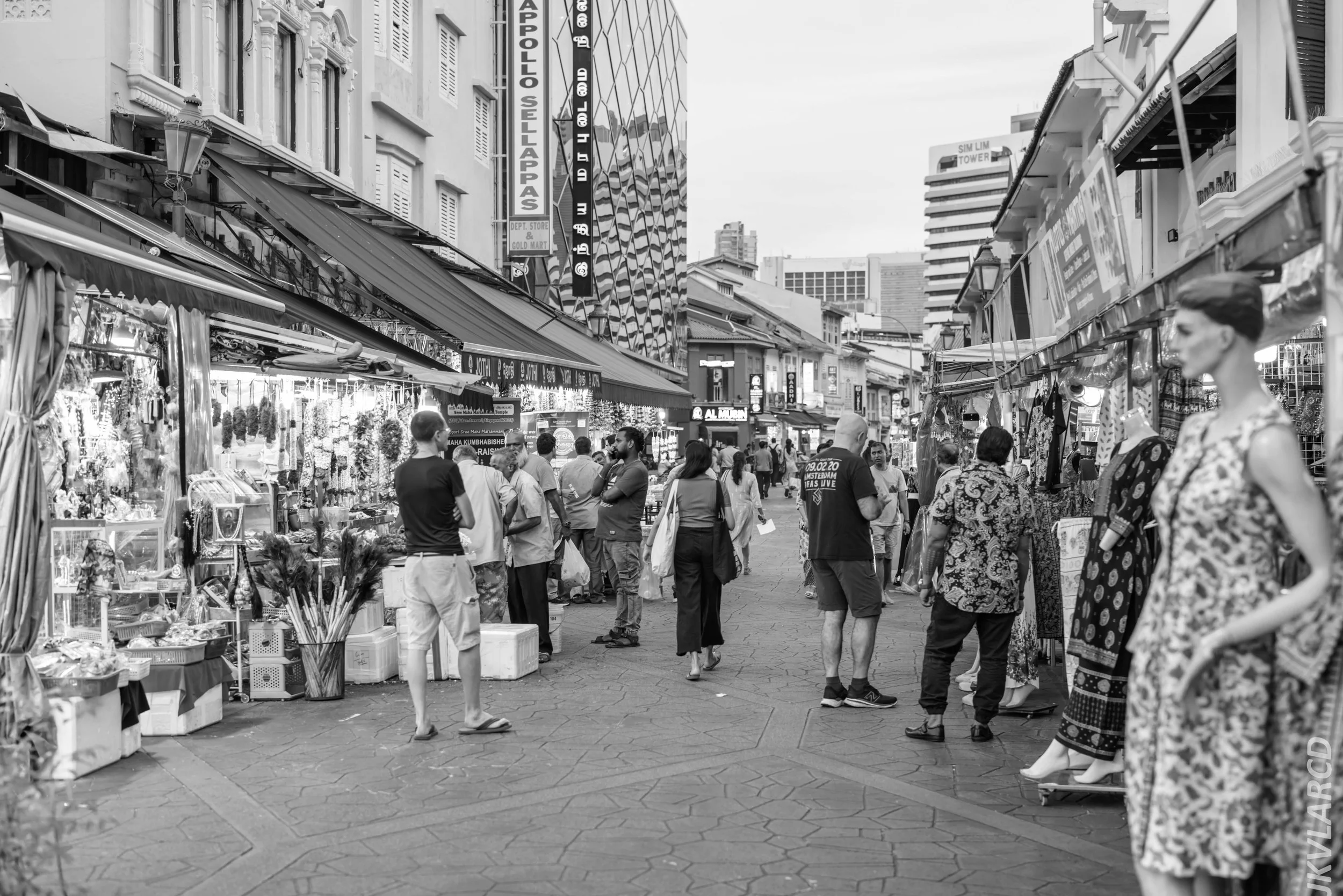 EOS R5_2024_07_20_0053.jpg