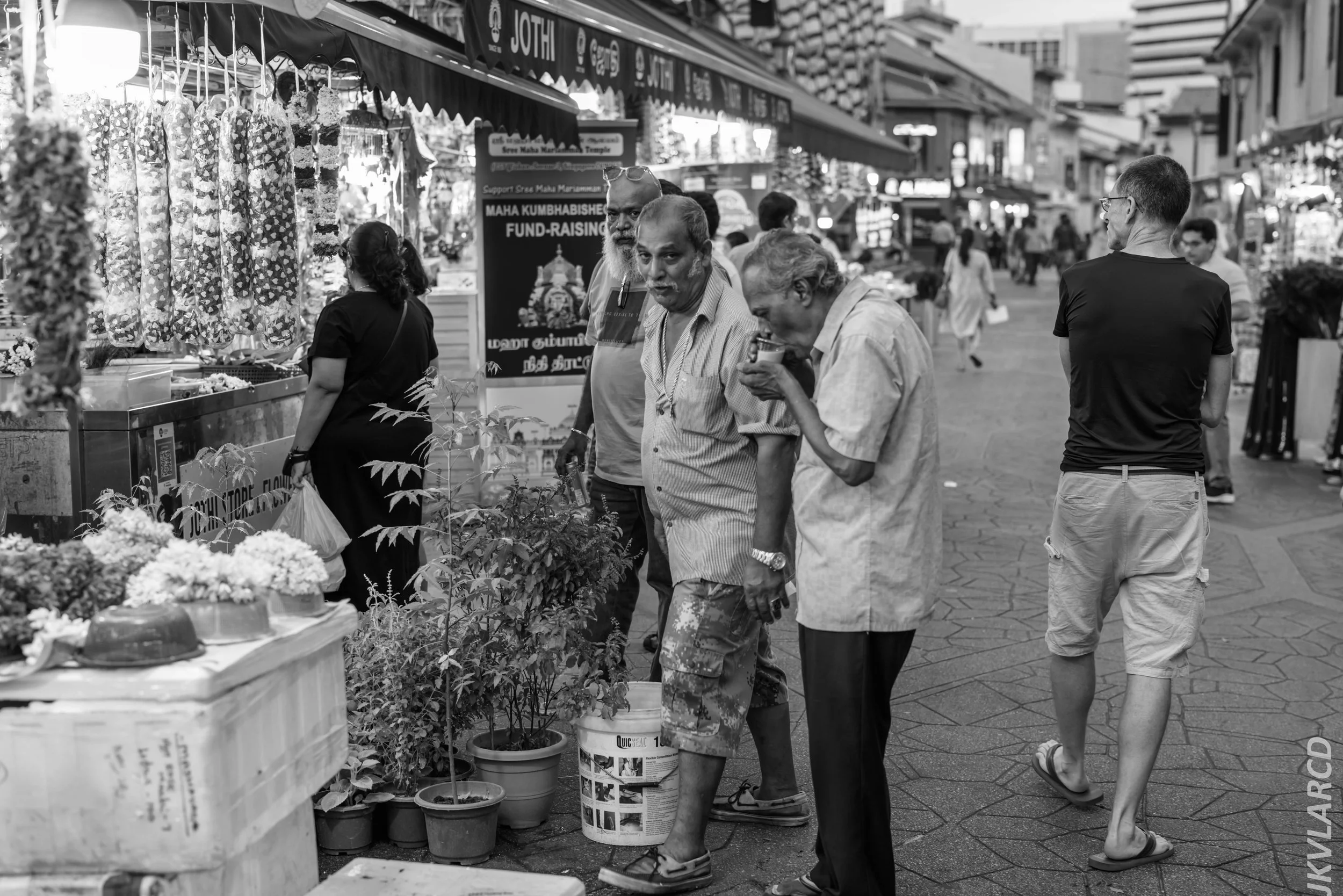 EOS R5_2024_07_20_0055.jpg