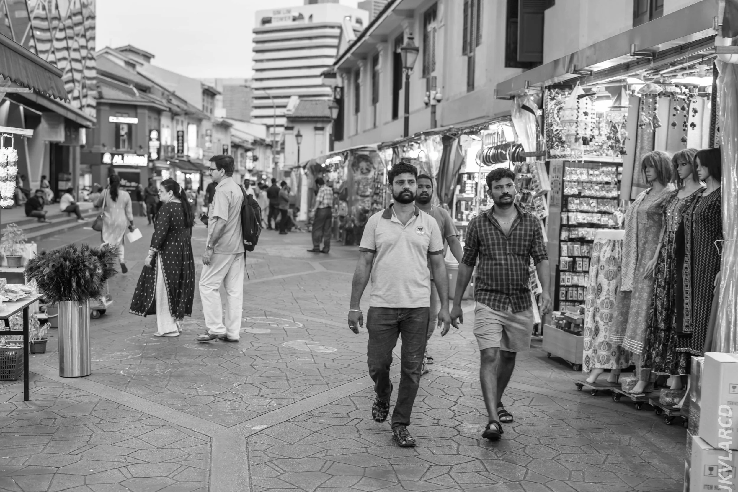 EOS R5_2024_07_20_0057.jpg