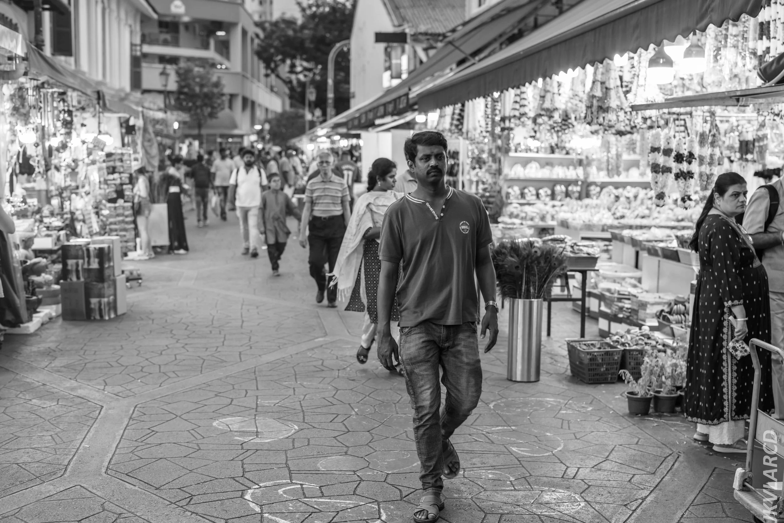 EOS R5_2024_07_20_0060.jpg