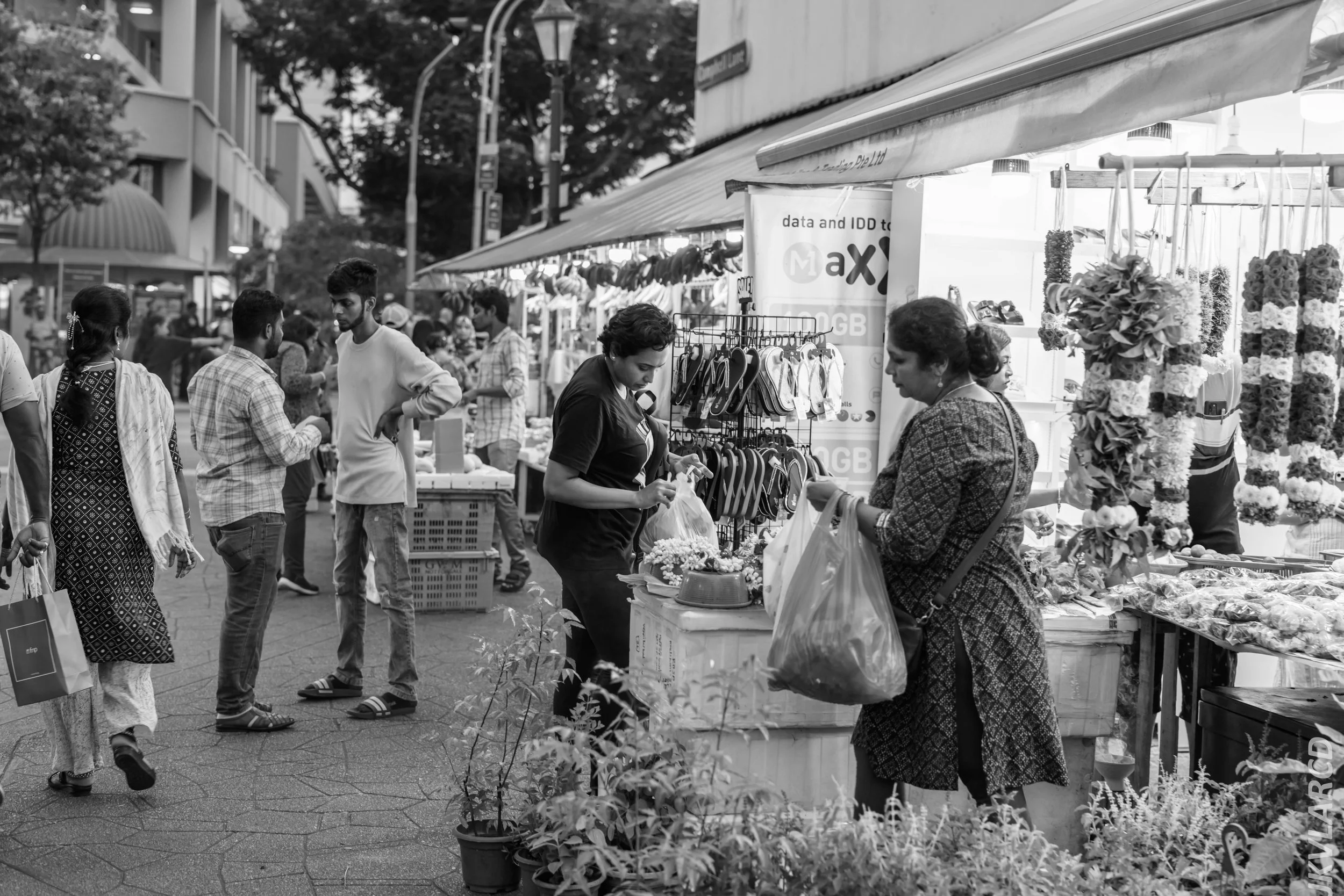 EOS R5_2024_07_20_0061.jpg