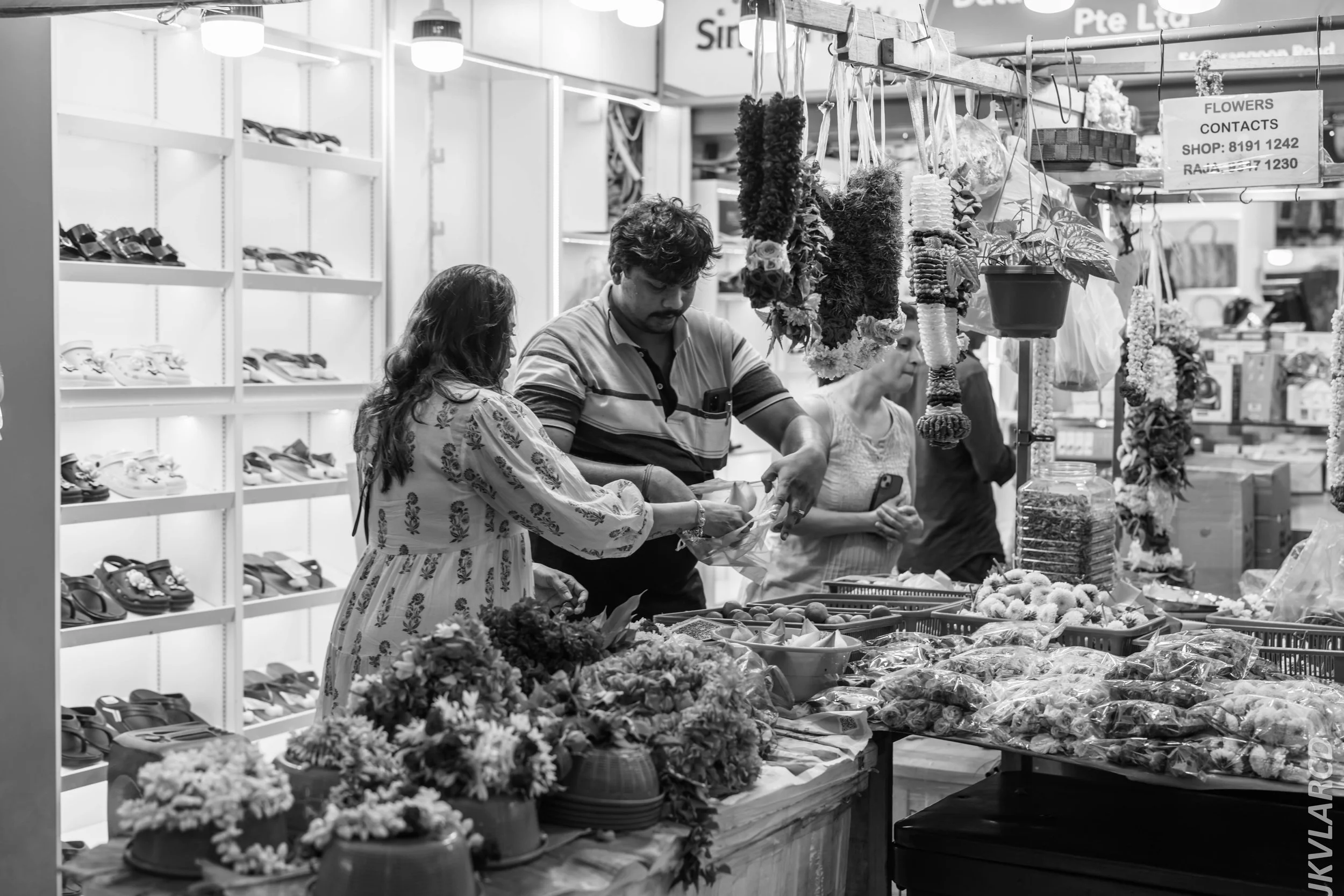 EOS R5_2024_07_20_0062.jpg