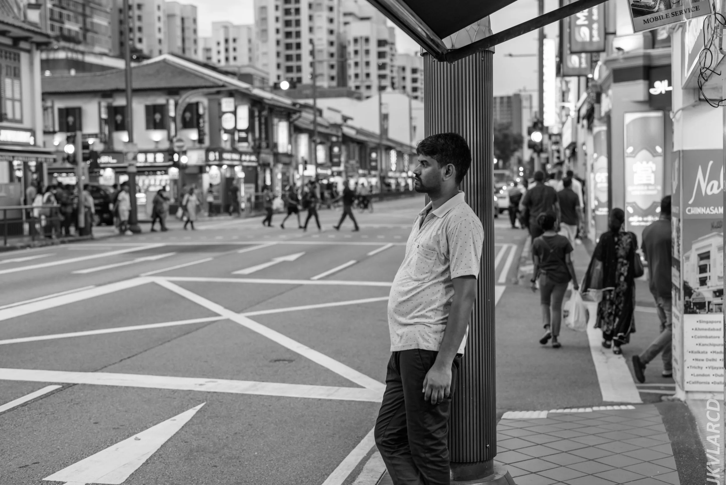 EOS R5_2024_07_20_0064.jpg