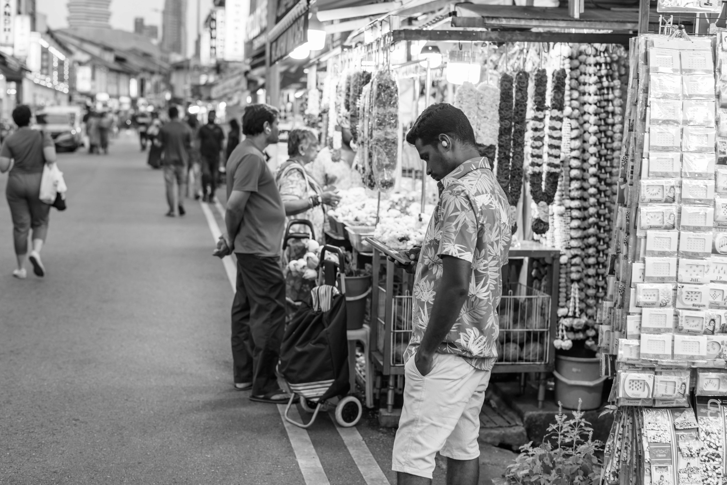 EOS R5_2024_07_20_0065.jpg