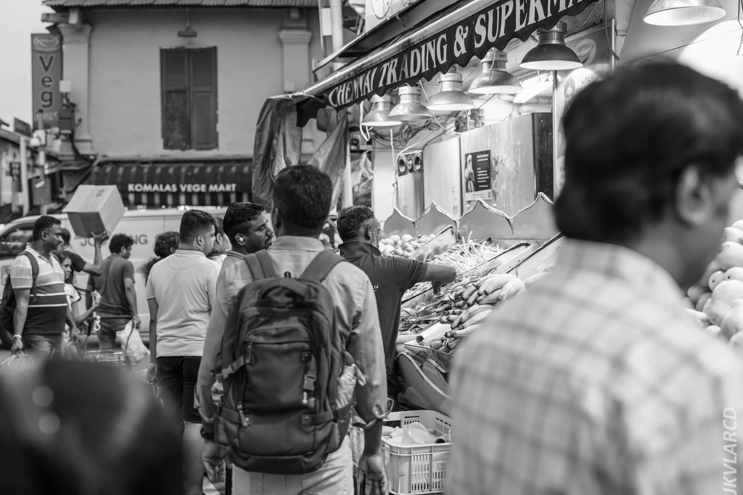 EOS R5_2024_07_20_0069.jpg