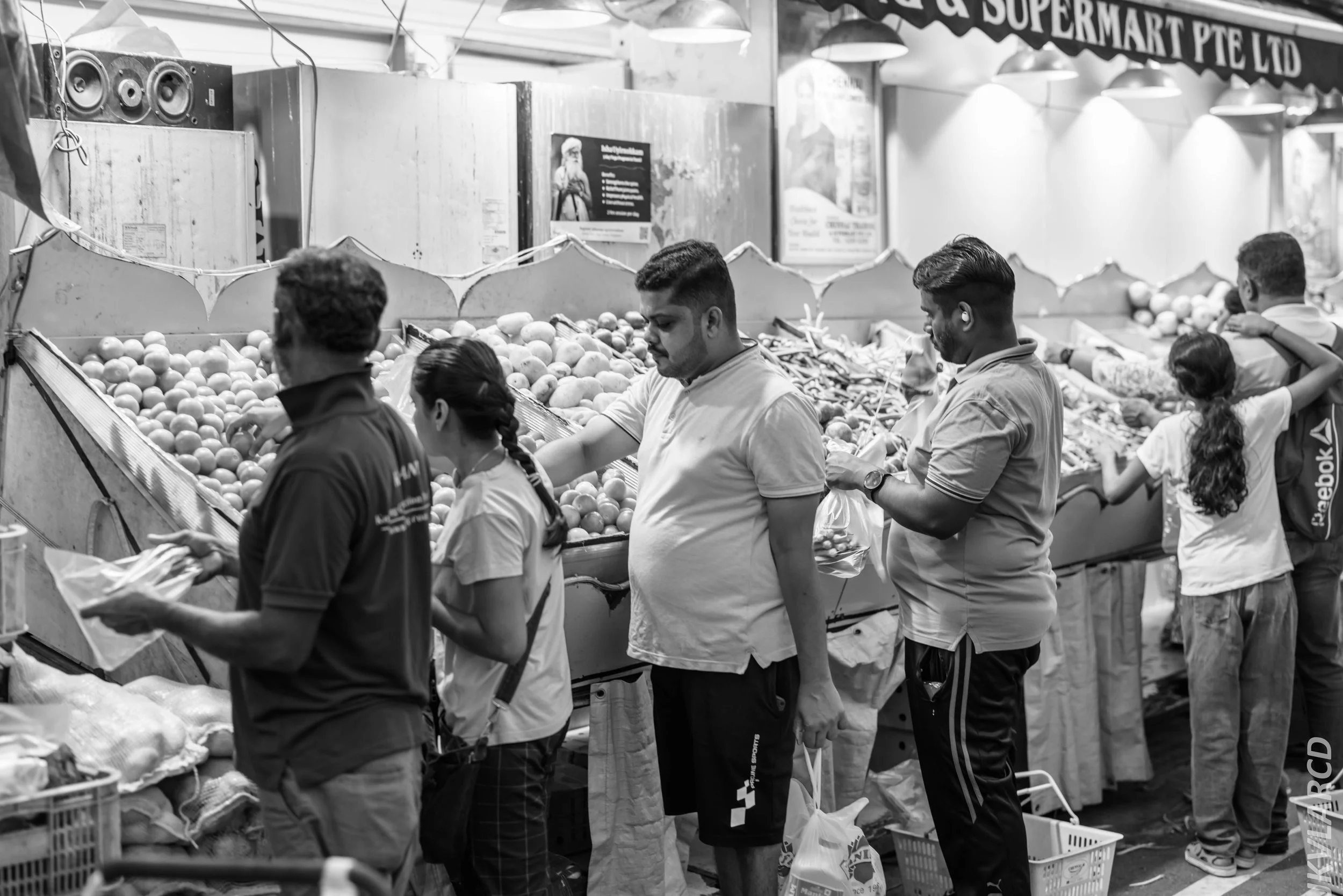 EOS R5_2024_07_20_0076.jpg