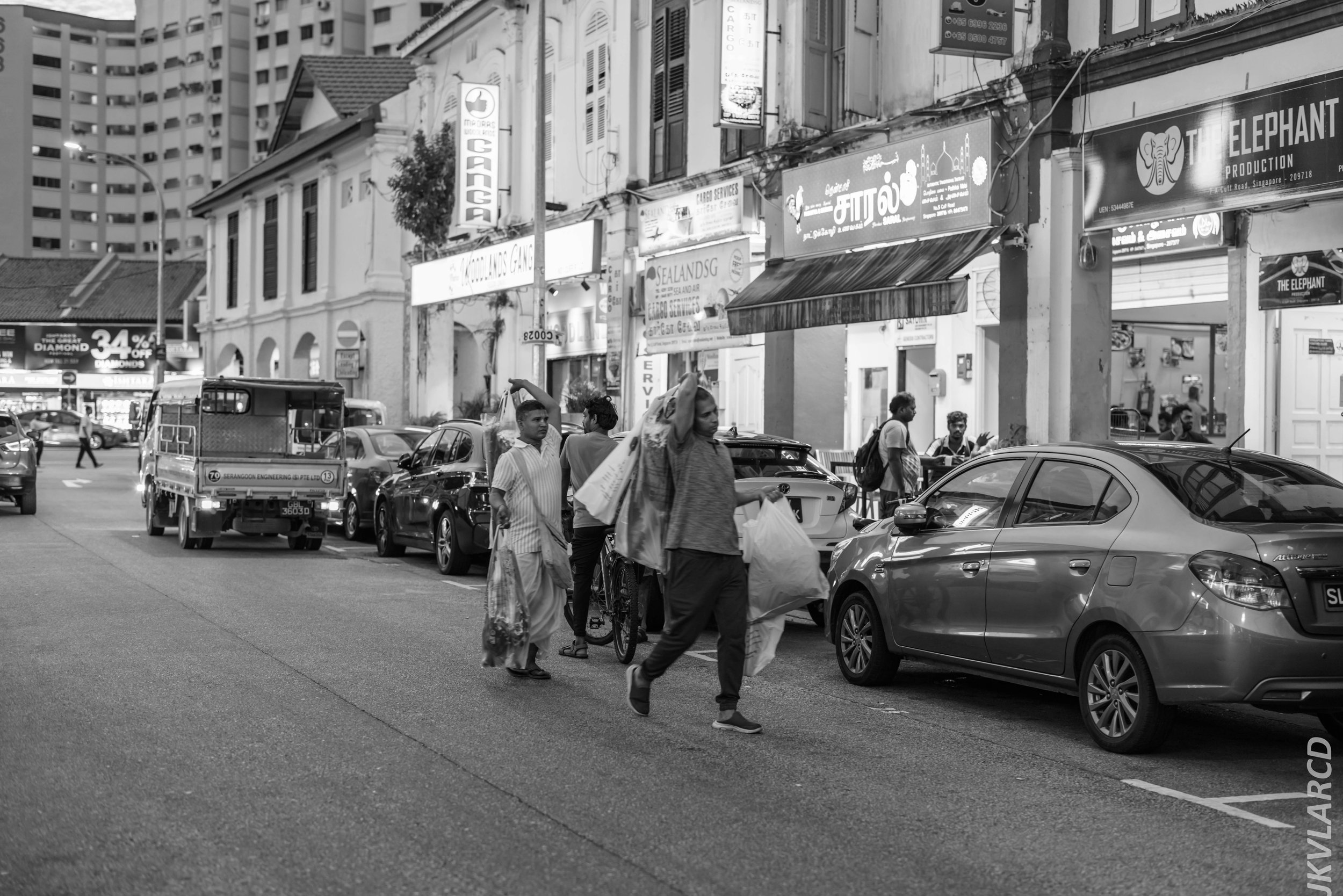 EOS R5_2024_07_20_0083.jpg