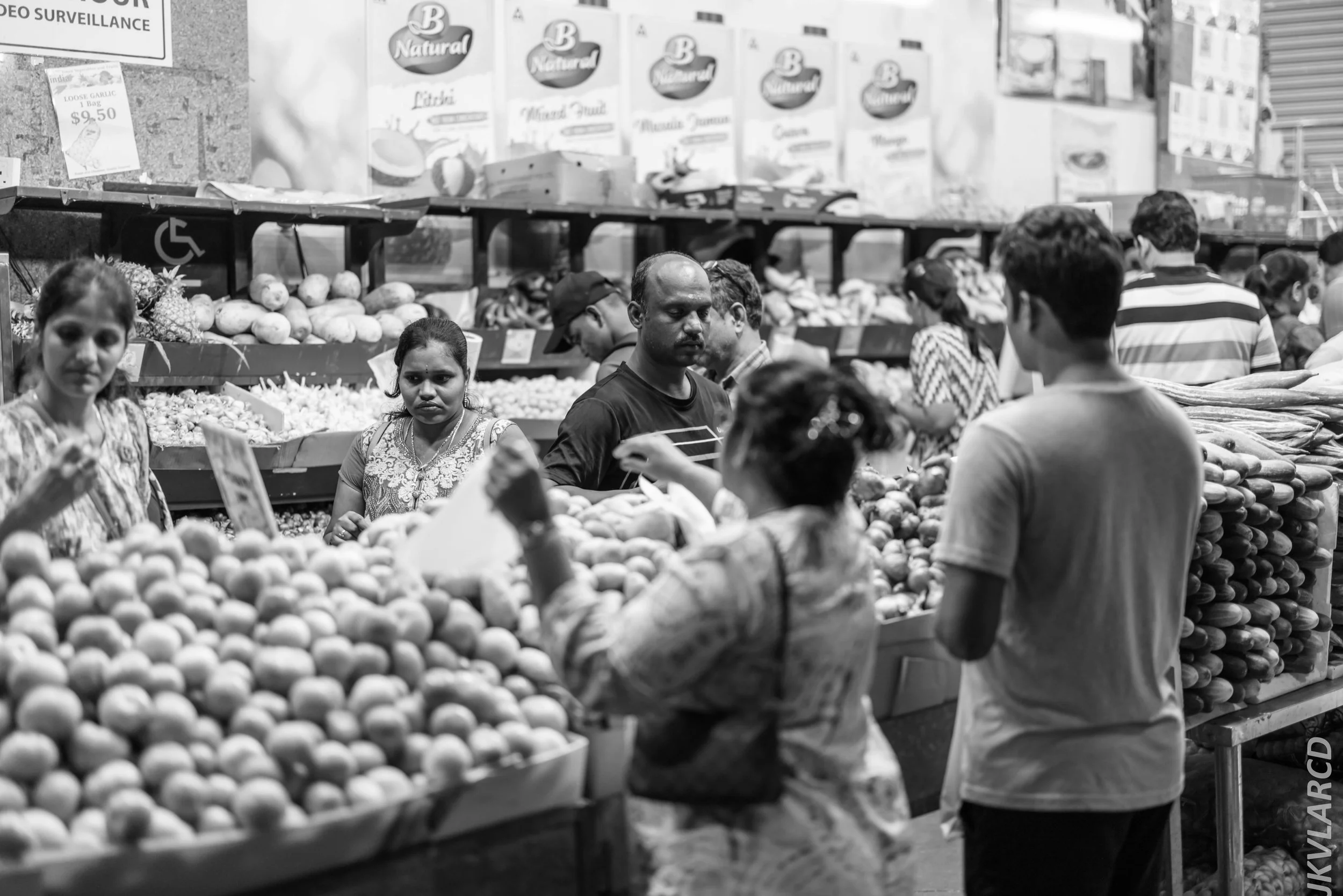 EOS R5_2024_07_20_0094.jpg