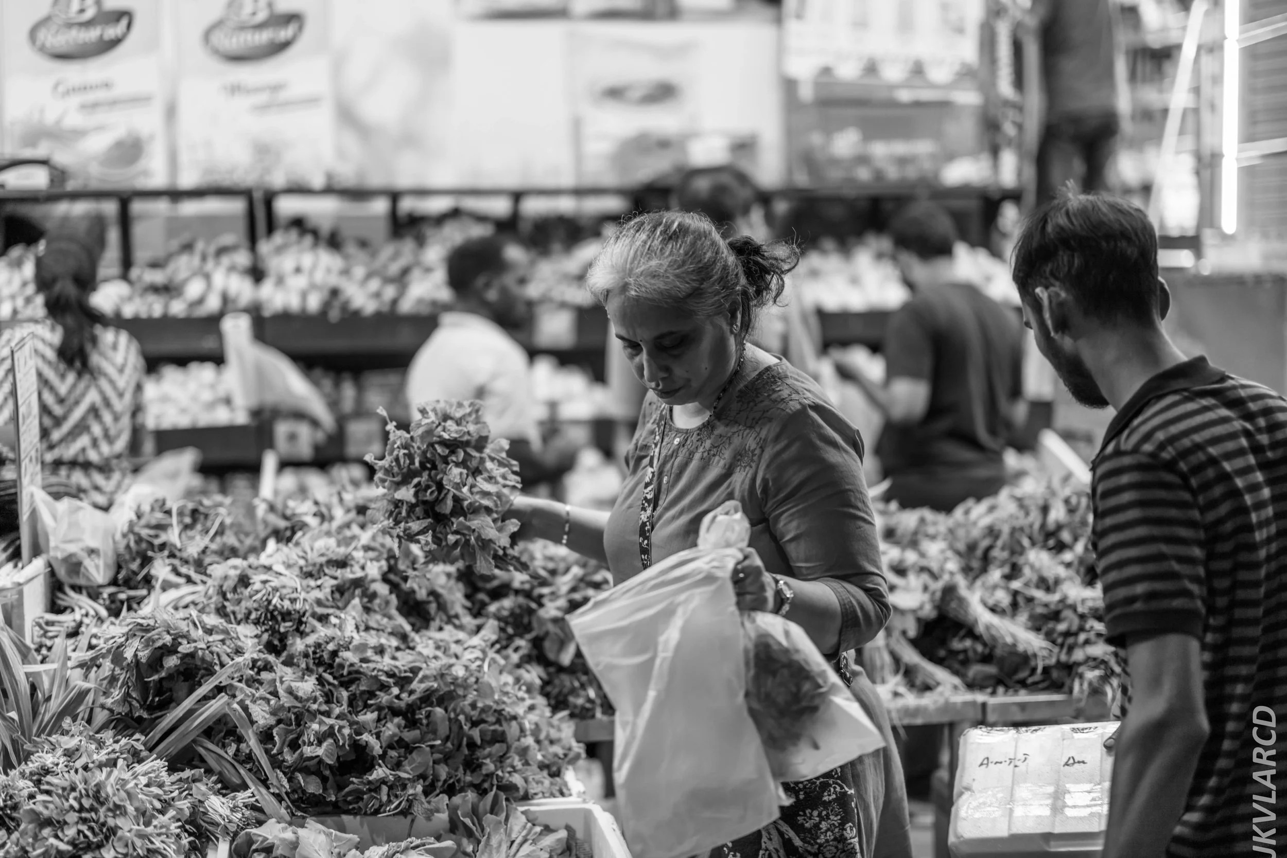 EOS R5_2024_07_20_0095.jpg