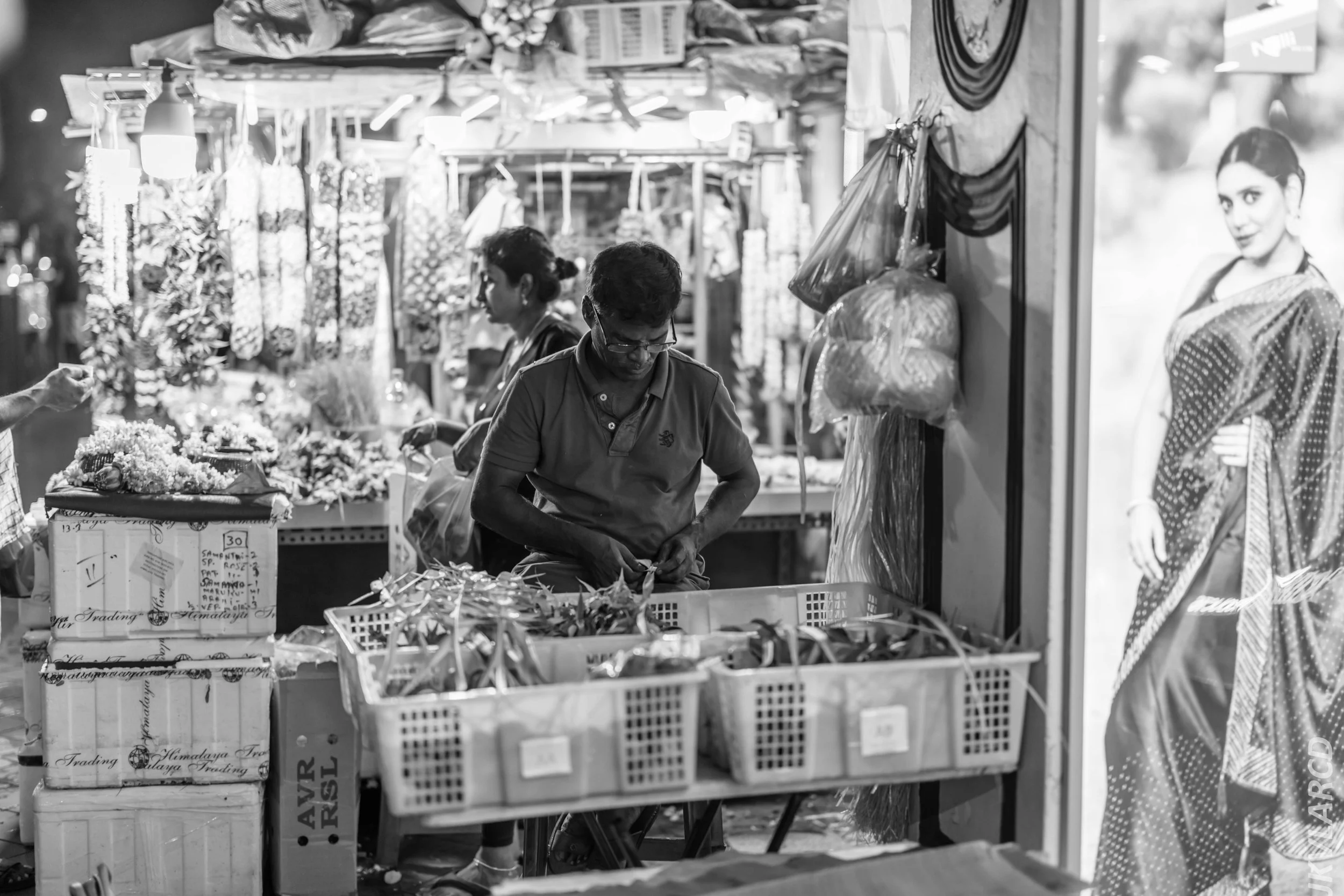 EOS R5_2024_07_20_0108.jpg