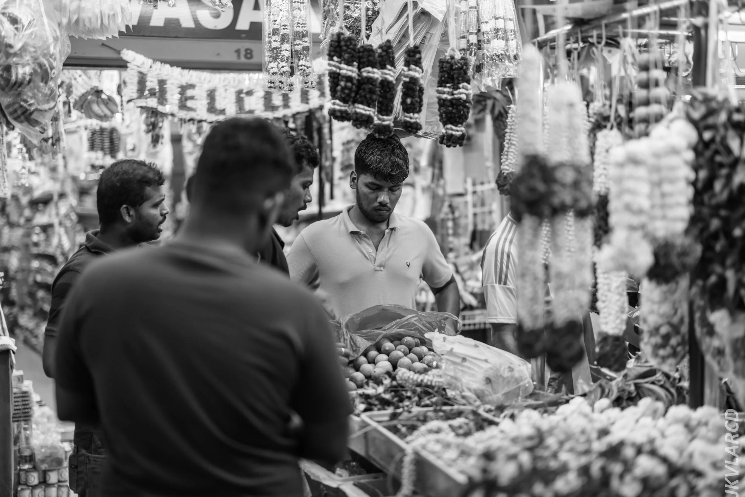 EOS R5_2024_07_20_0111.jpg