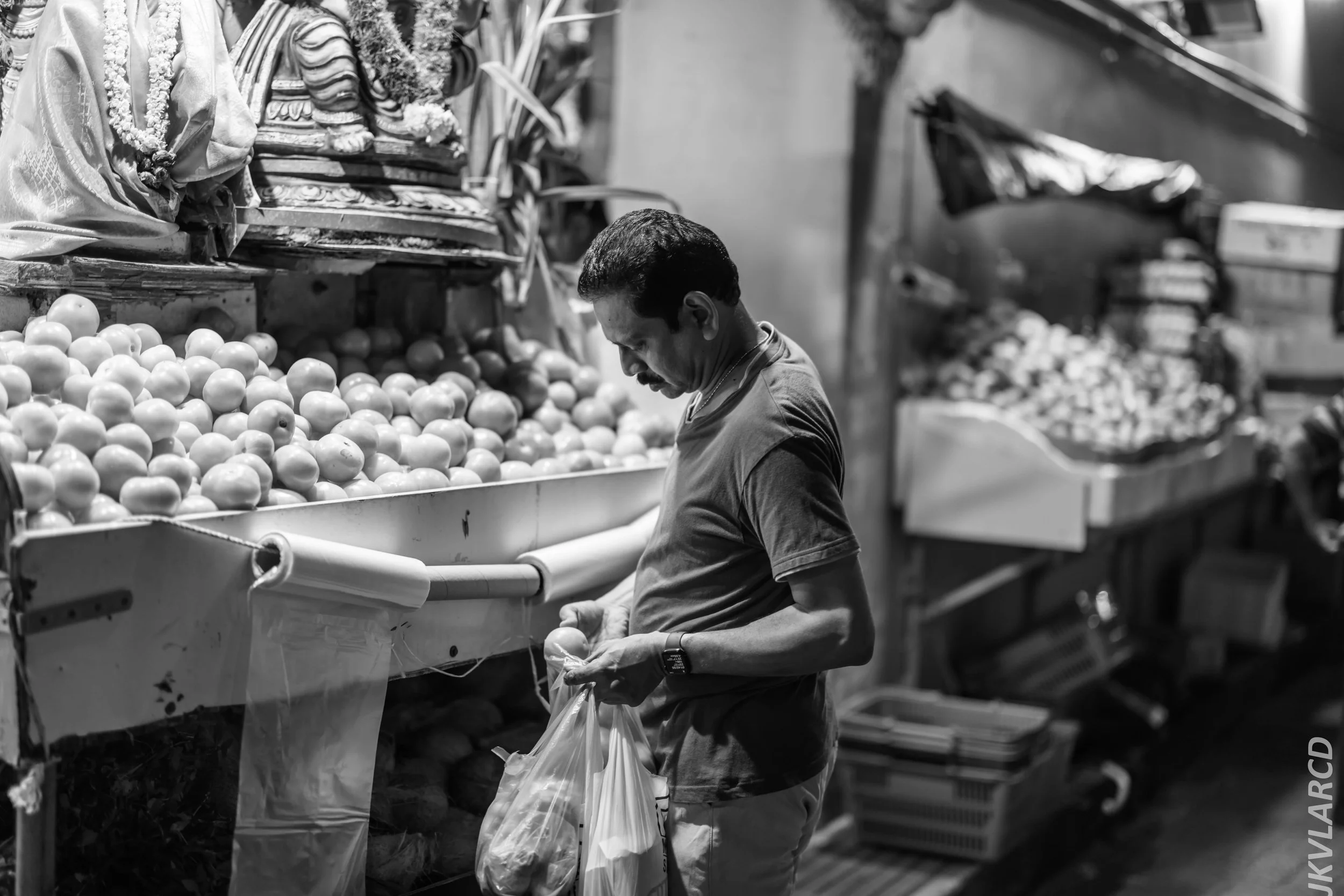 EOS R5_2024_07_20_0117.jpg