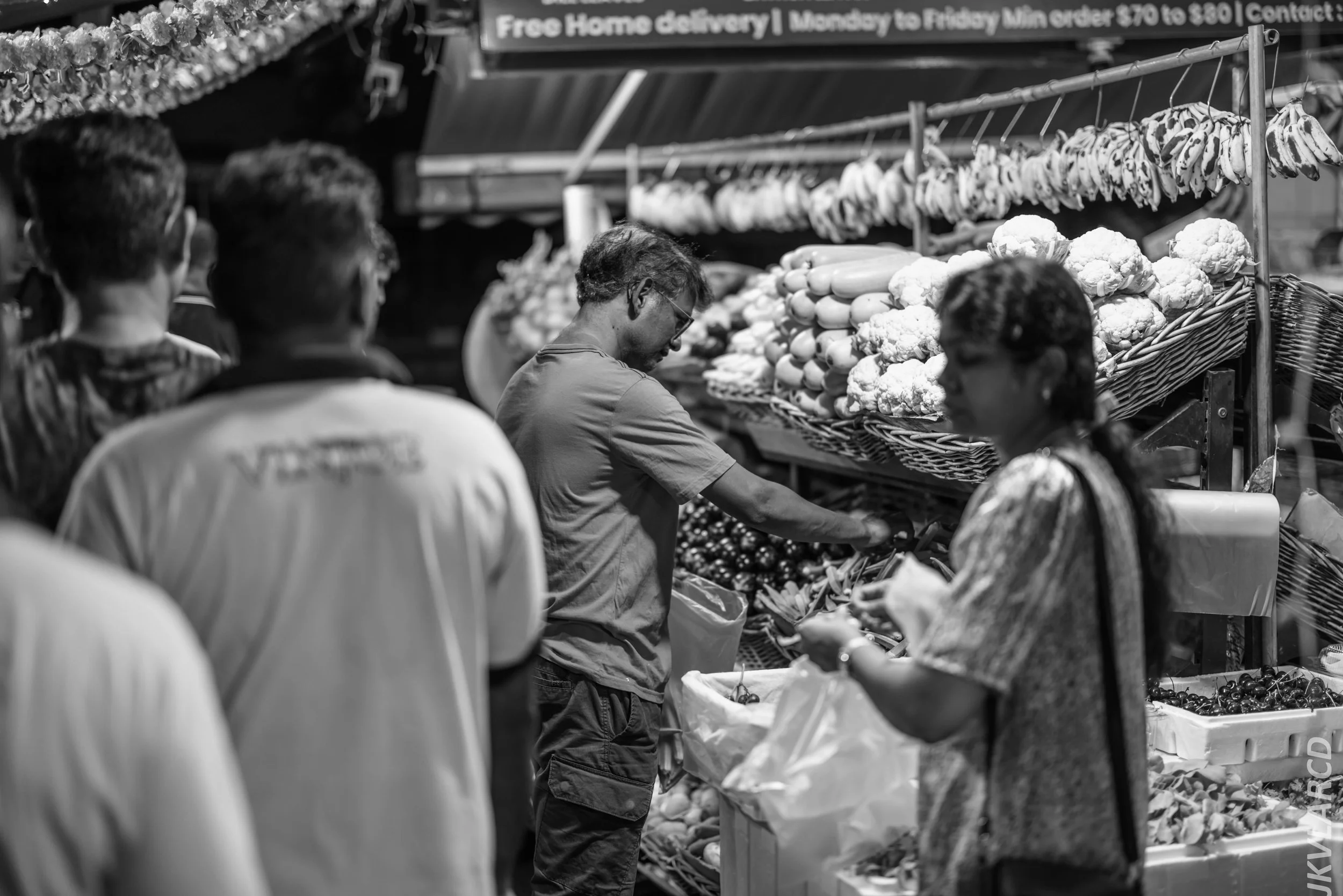 EOS R5_2024_07_20_0120.jpg