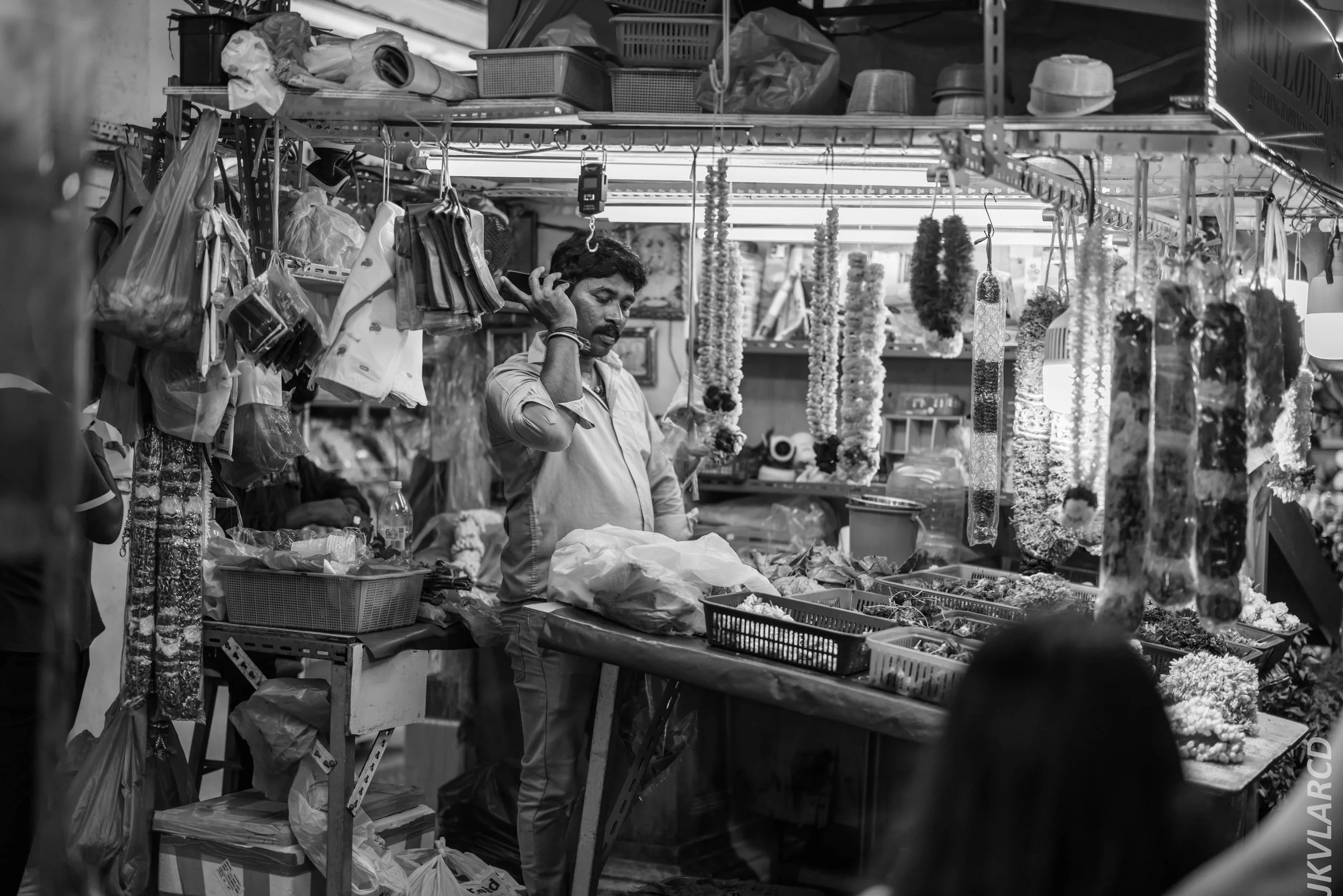 EOS R5_2024_07_20_0122.jpg