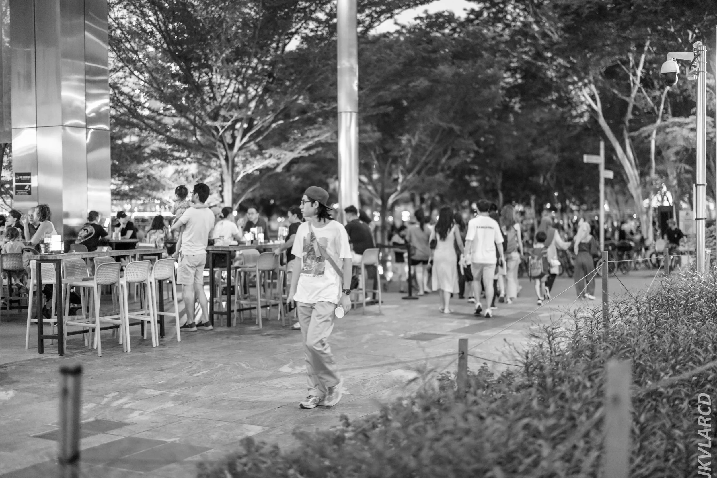 EOS R5_2024_07_27_0001.jpg