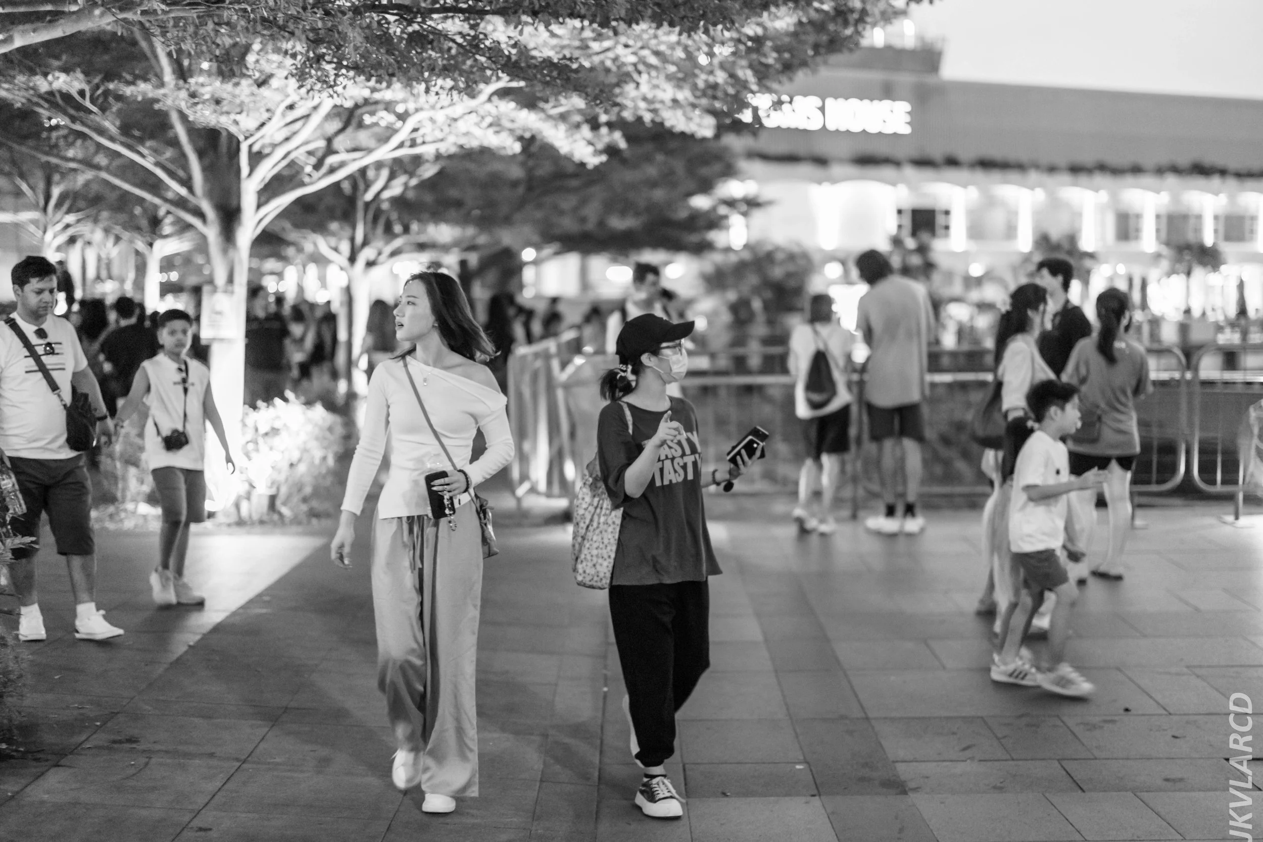 EOS R5_2024_07_27_0003.jpg