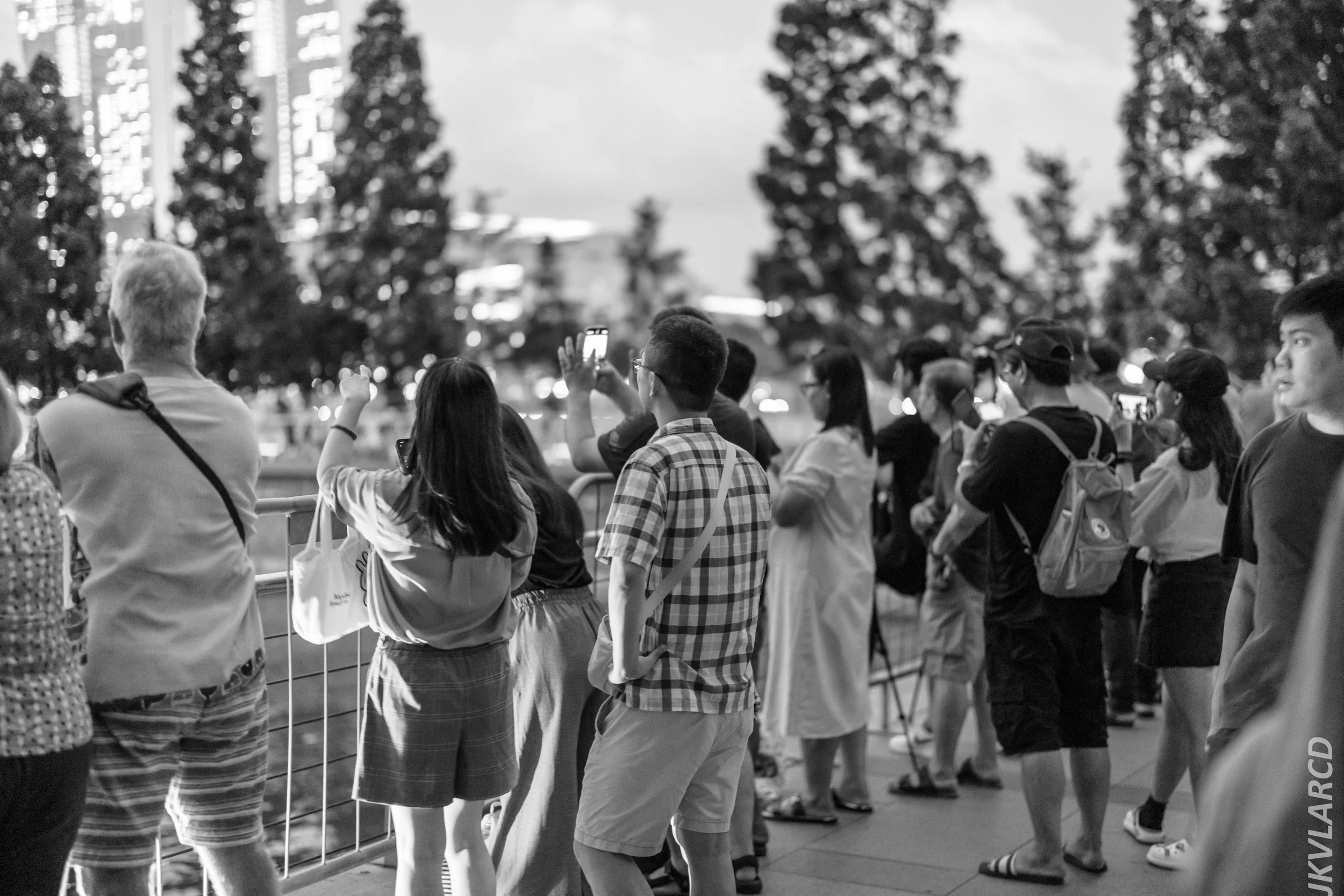 EOS R5_2024_07_27_0005.jpg